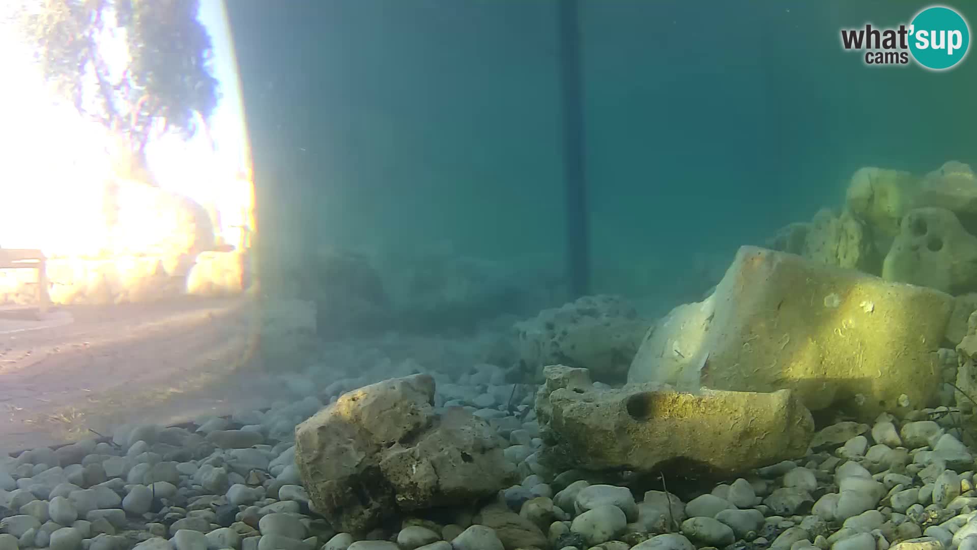 Webcam de l’aquarium marin extérieur de Rogoznica Croatie