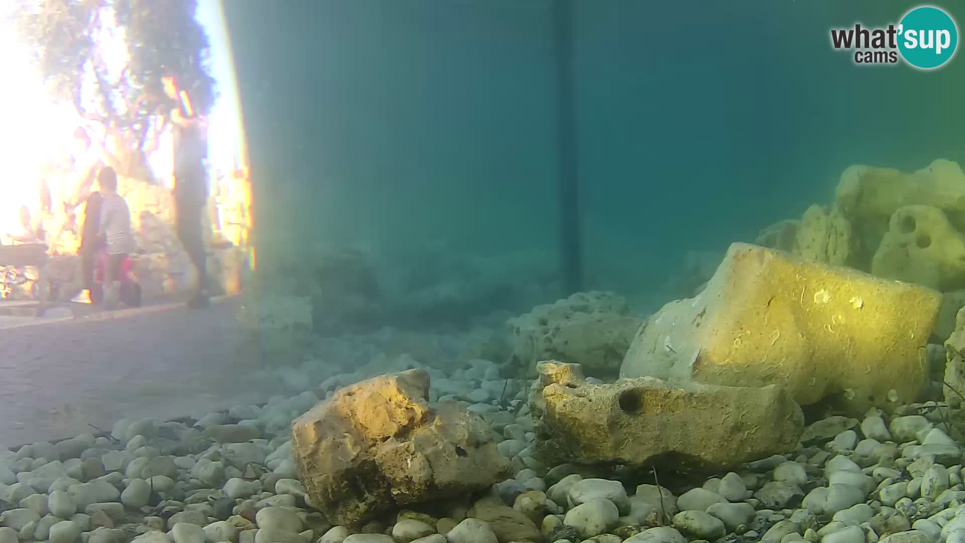 Outdoor Marine Aquarium Rogoznica webcam Croatia