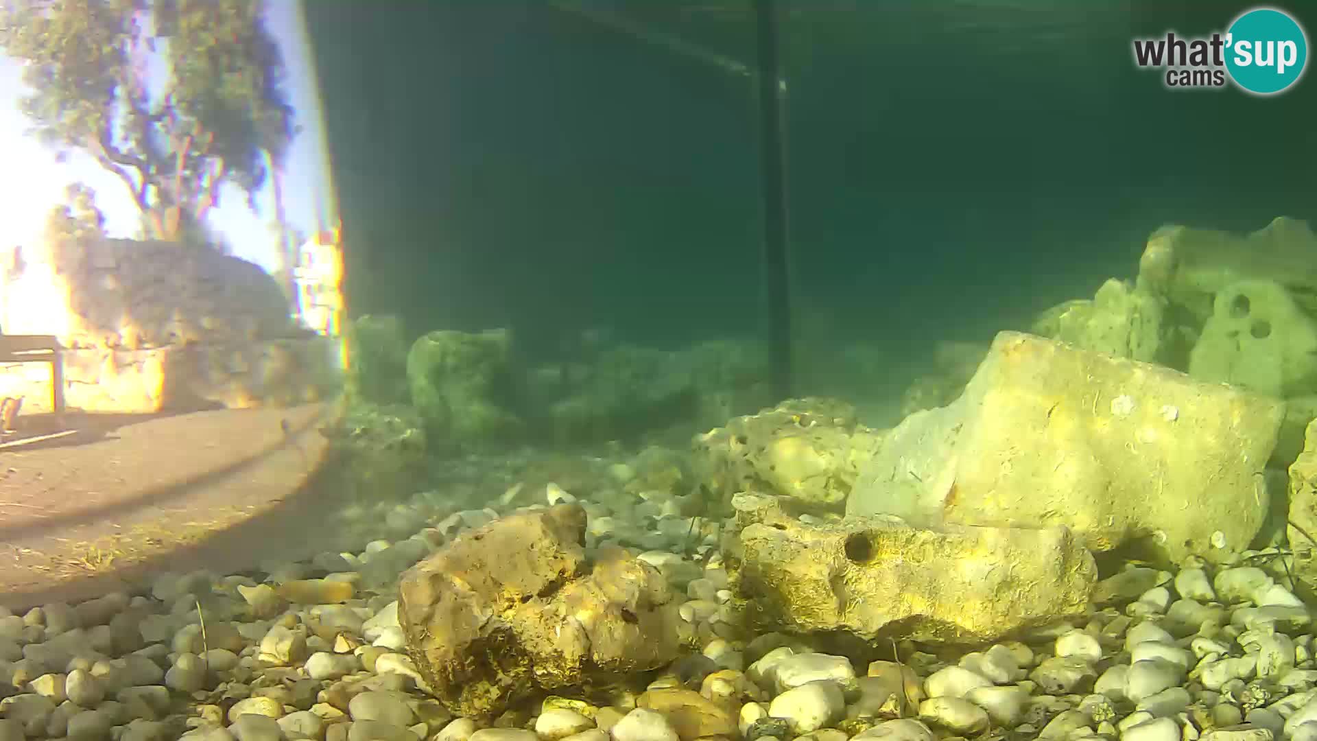 Outdoor Marine Aquarium Rogoznica webcam Croatia