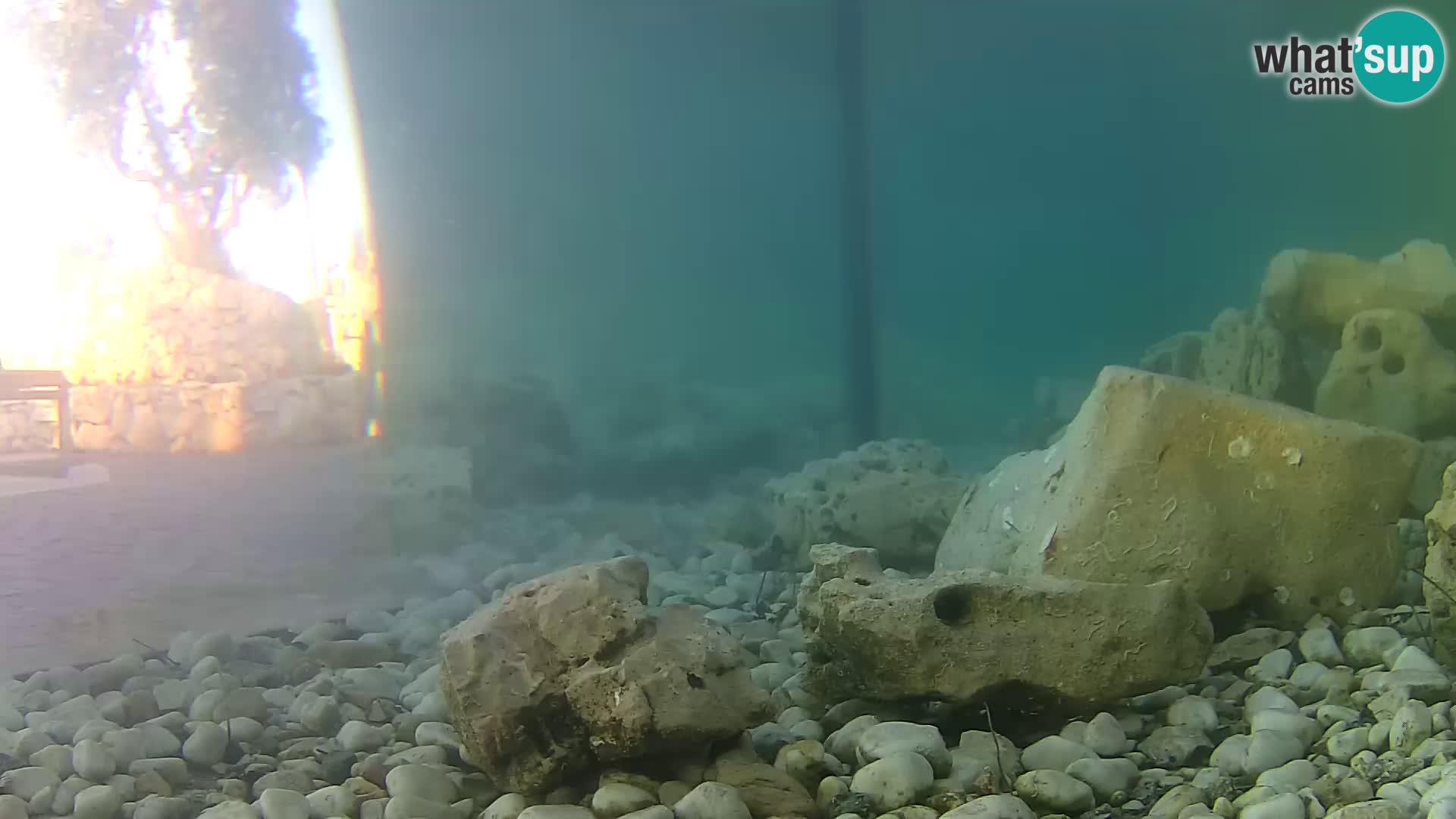 Outdoor Marine Aquarium Rogoznica webcam Croatia