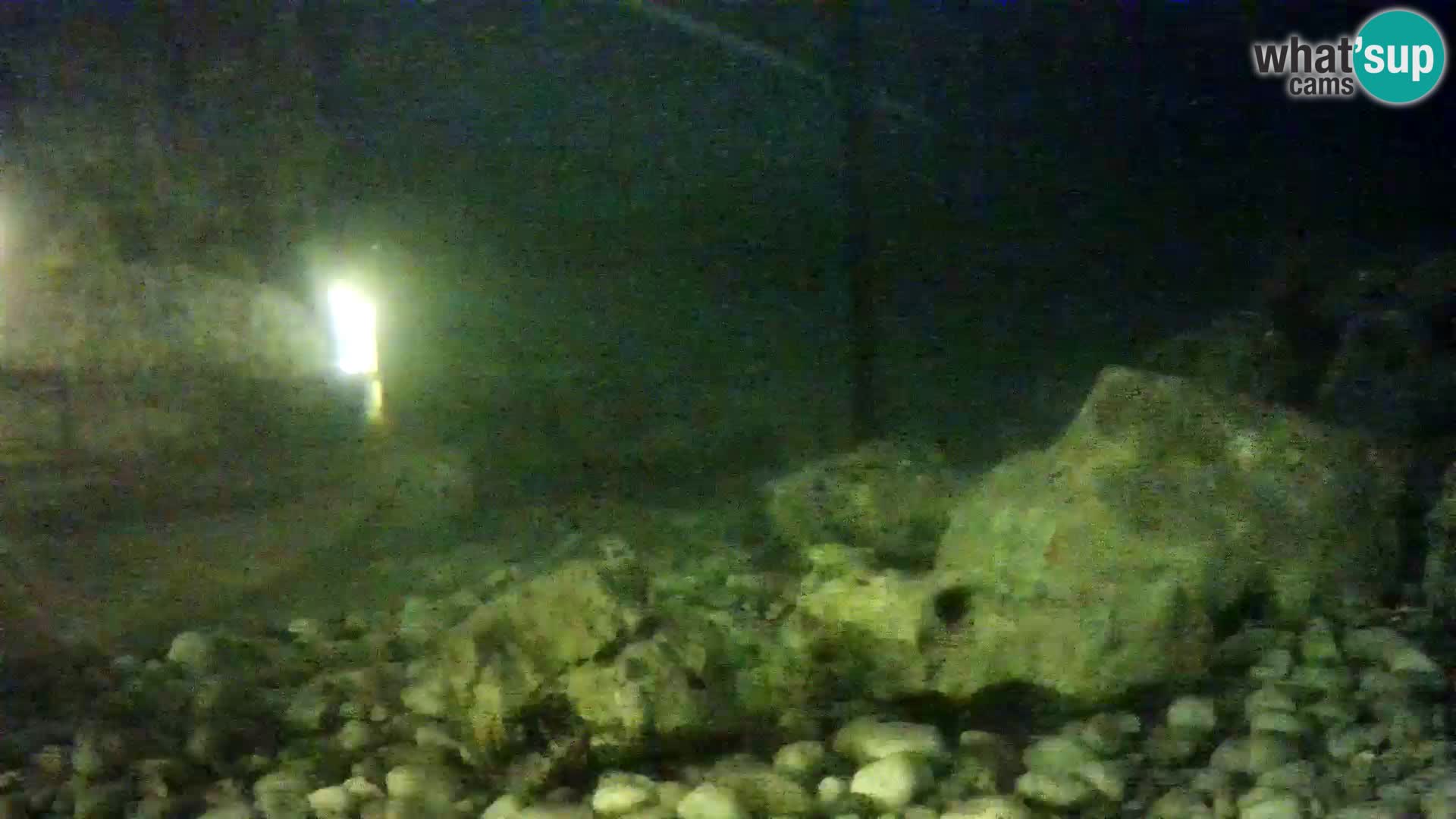 Aquario marino esterno –  Rogoznica livecam Croazia