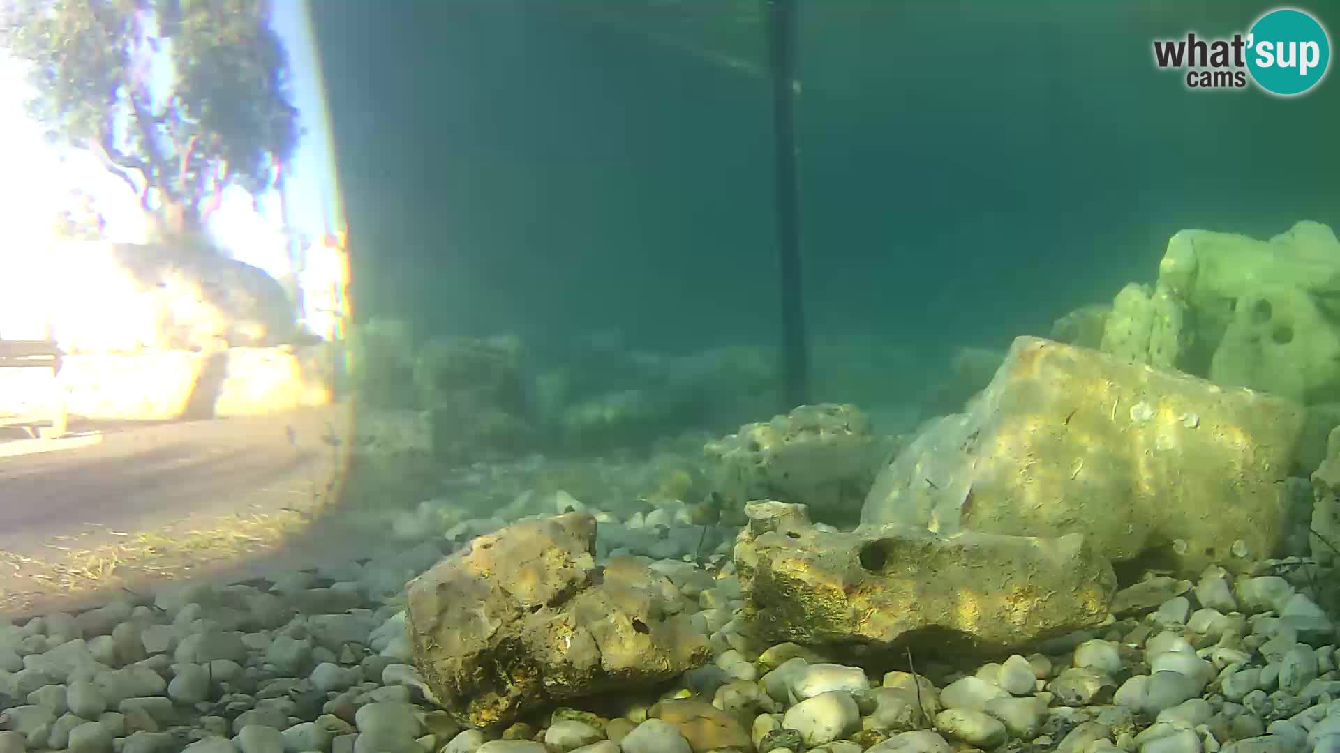 Outdoor Marine Aquarium Rogoznica webcam Croatia