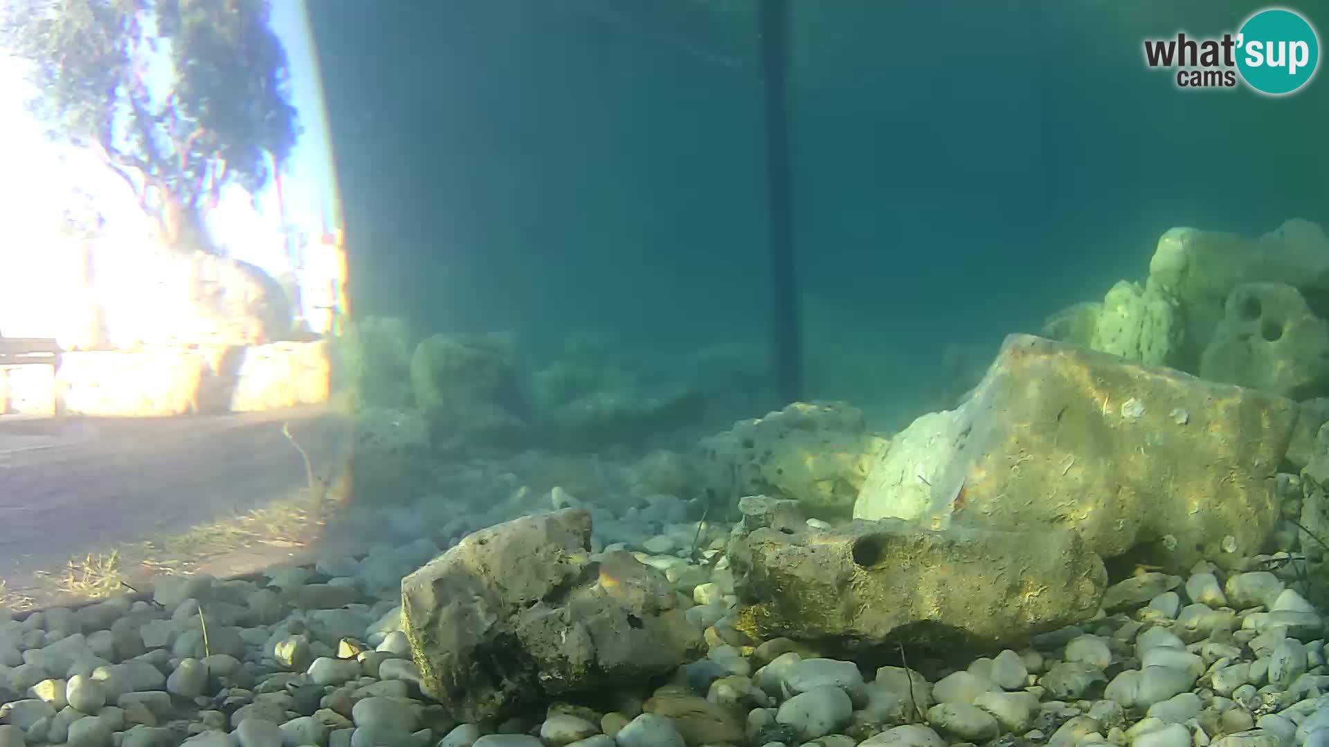 Outdoor Marine Aquarium Rogoznica webcam Croatia