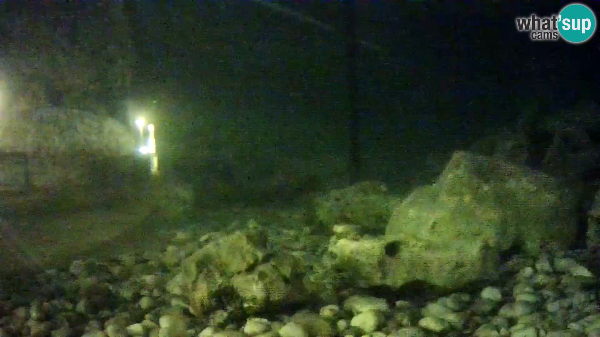Aquario marino esterno –  Rogoznica livecam Croazia