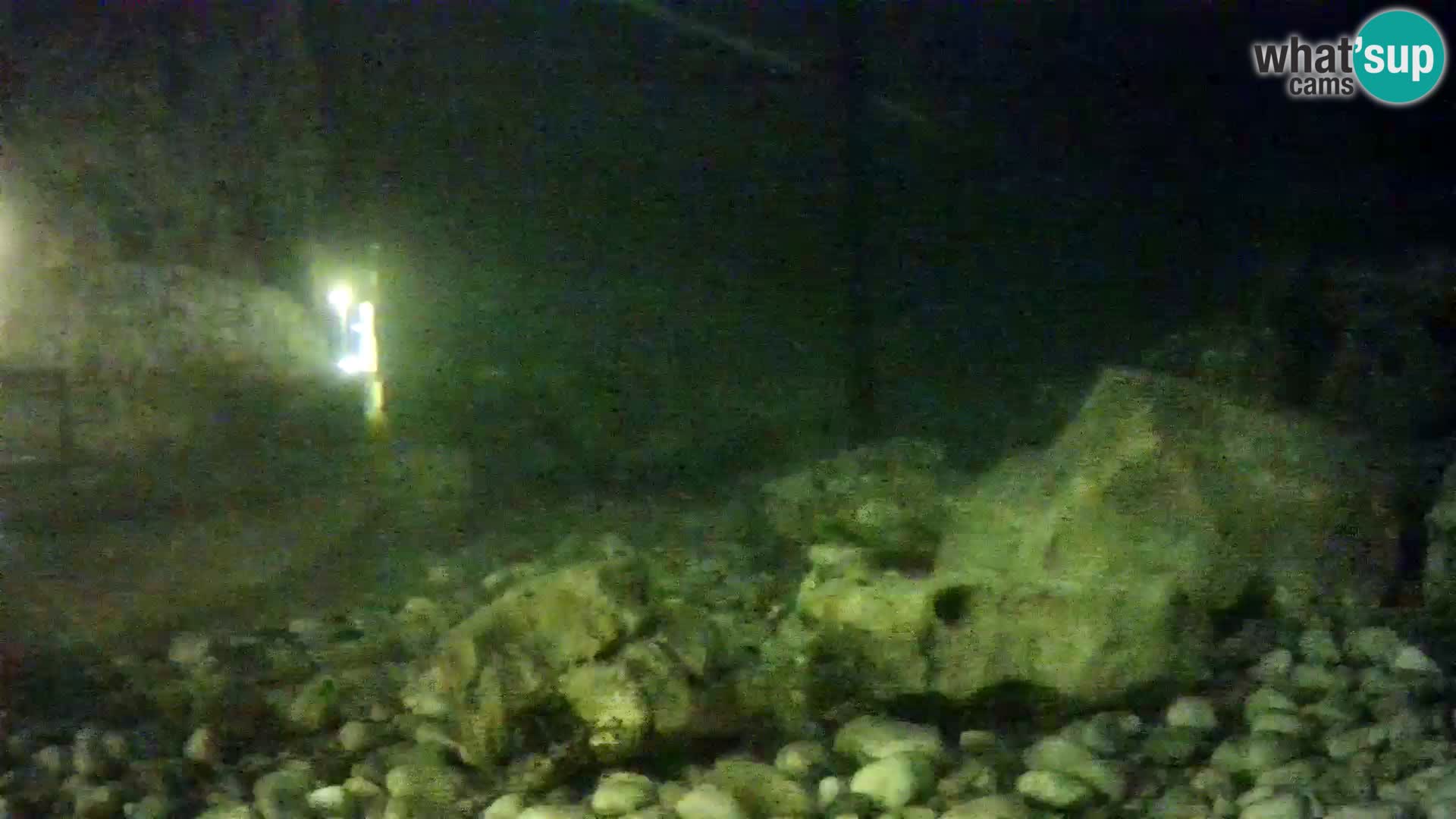 Aquario marino esterno –  Rogoznica livecam Croazia