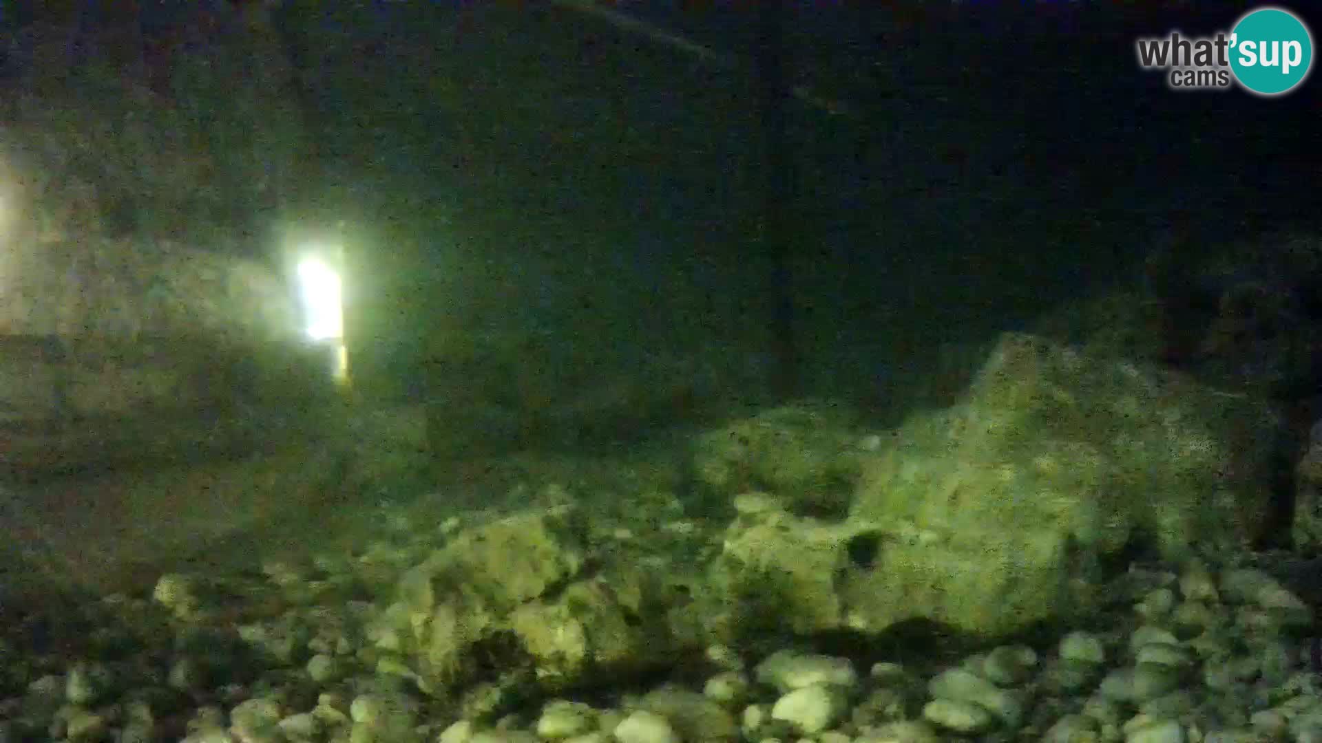 Acuario marino al aire libre Rogoznica webcam Croacia