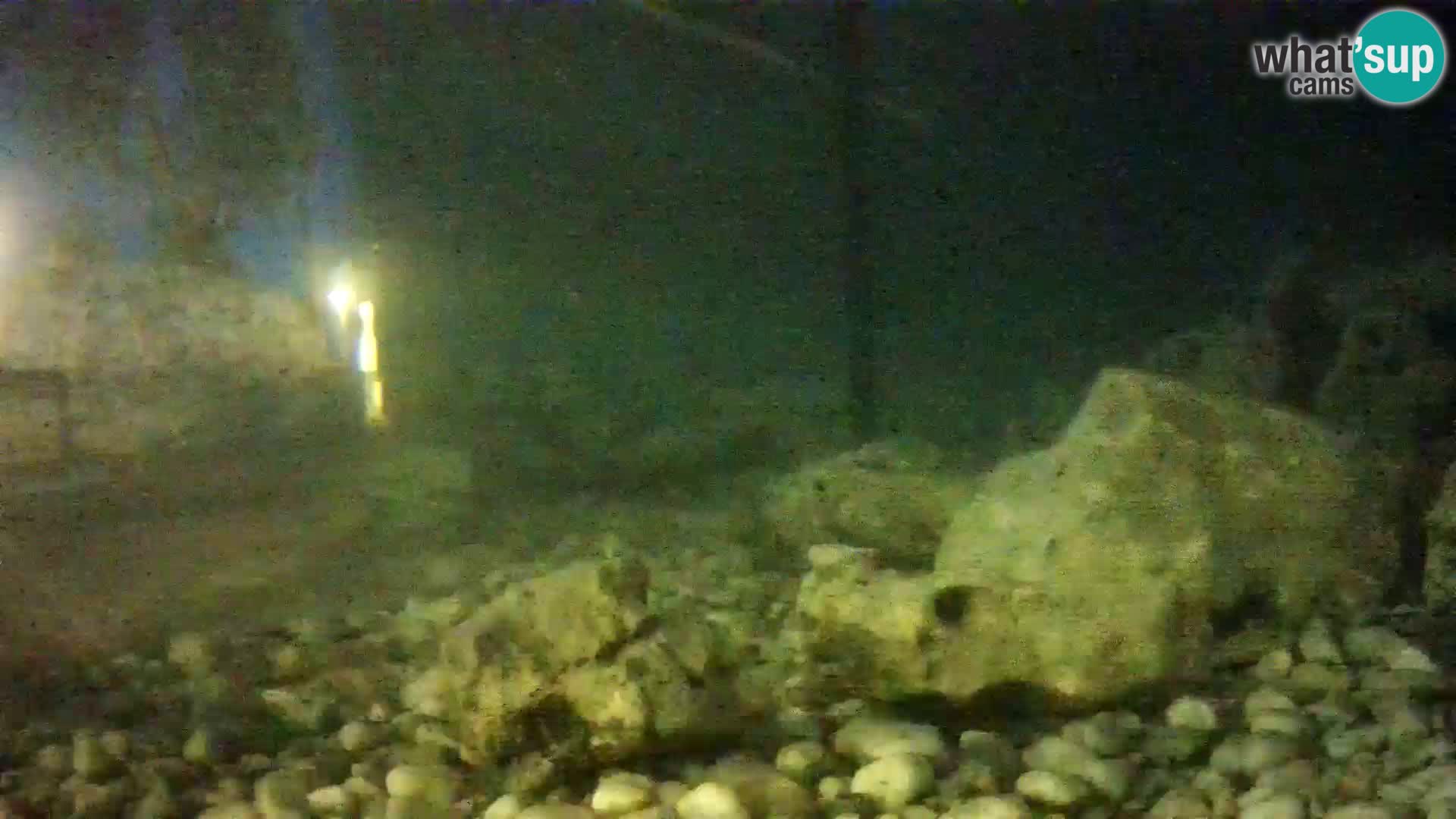 Acuario marino al aire libre Rogoznica webcam Croacia