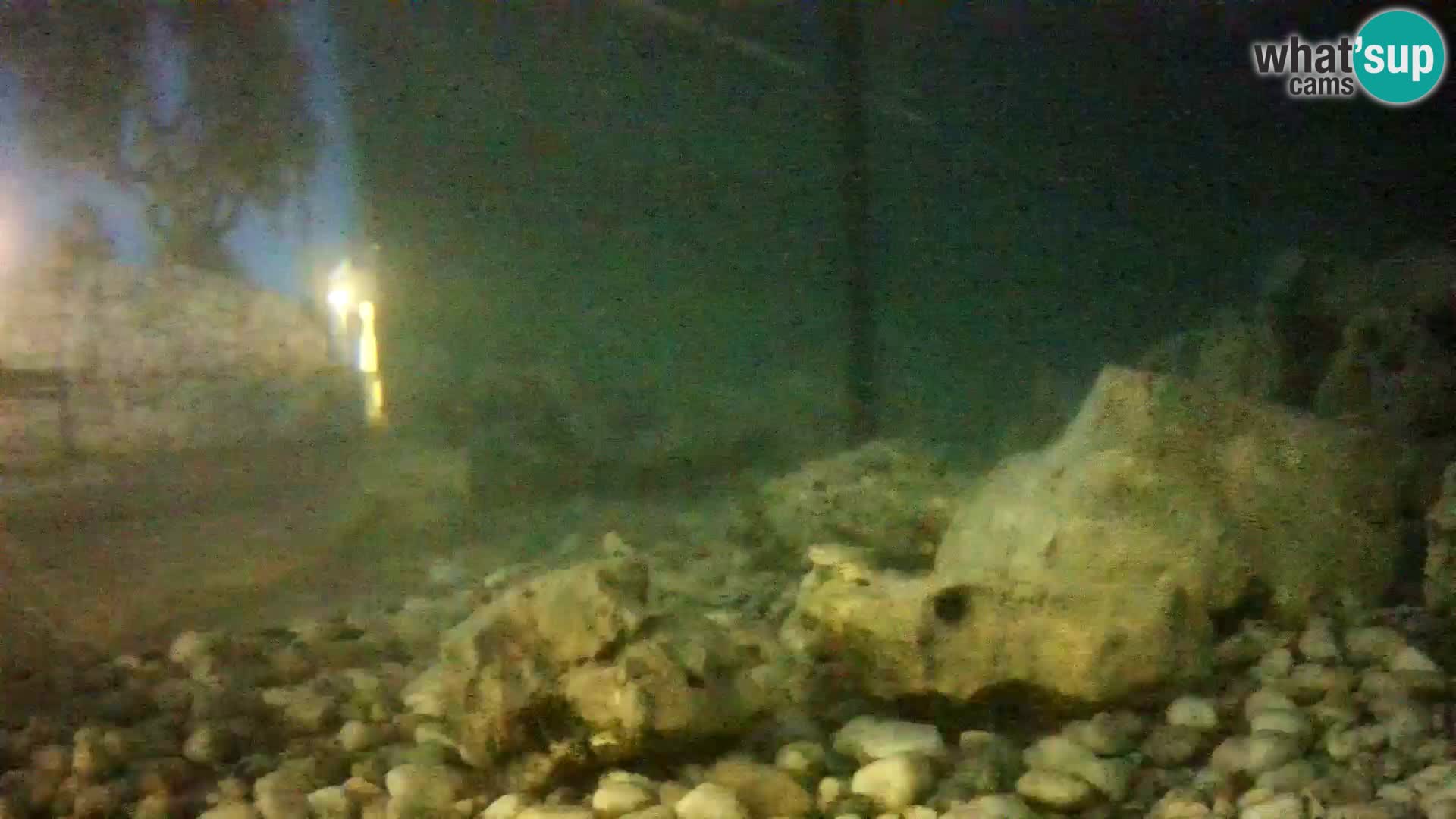 Zunanji morski akvarij Rogoznica spletna kamera Hrvaška