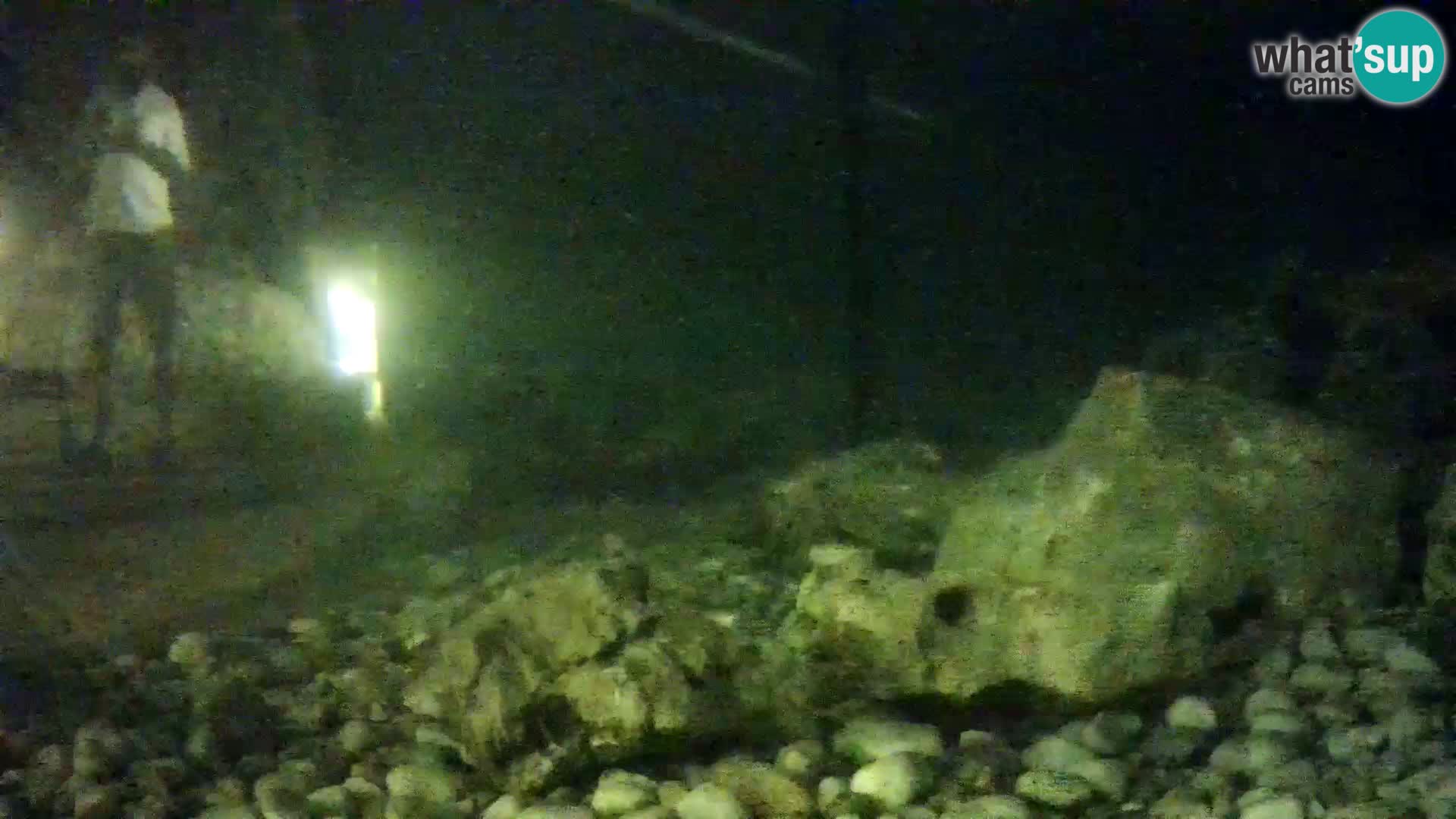 Acuario marino al aire libre Rogoznica webcam Croacia