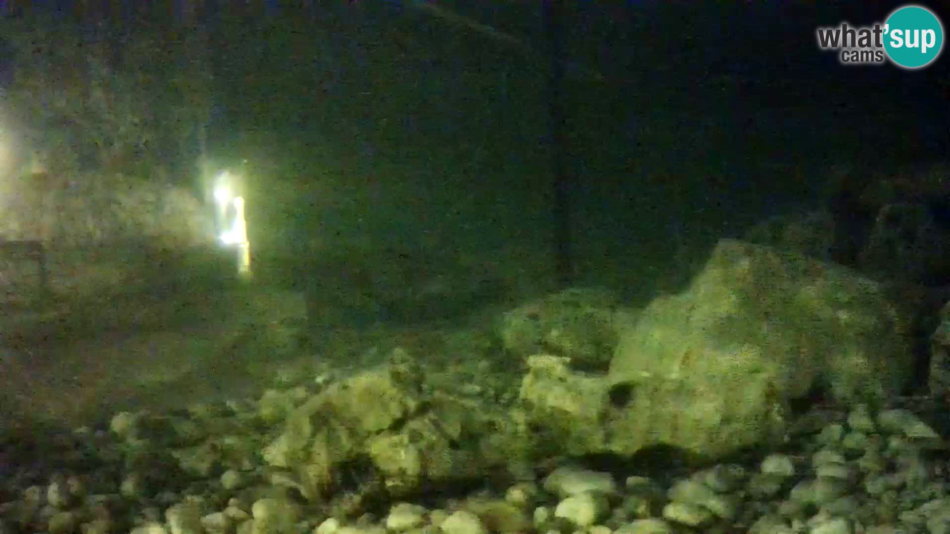 Webcam de l’aquarium marin extérieur de Rogoznica Croatie