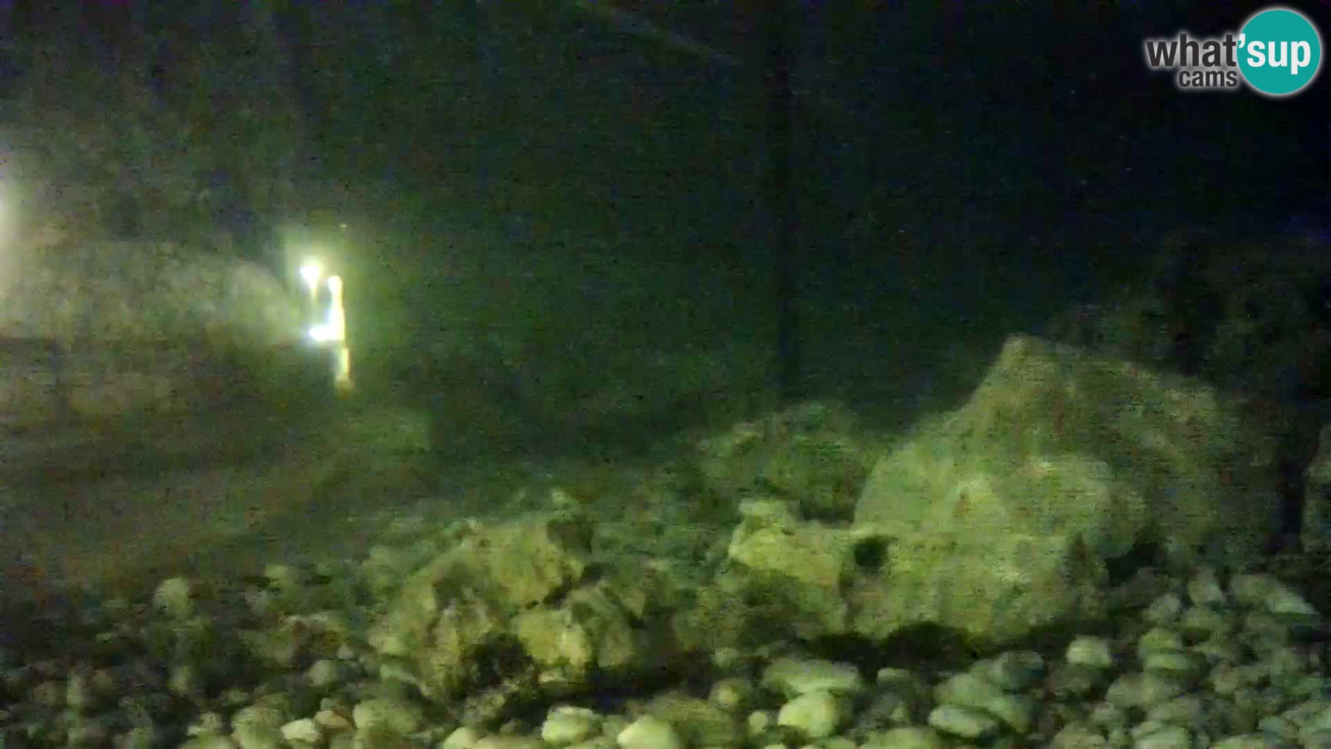 Acuario marino al aire libre Rogoznica webcam Croacia