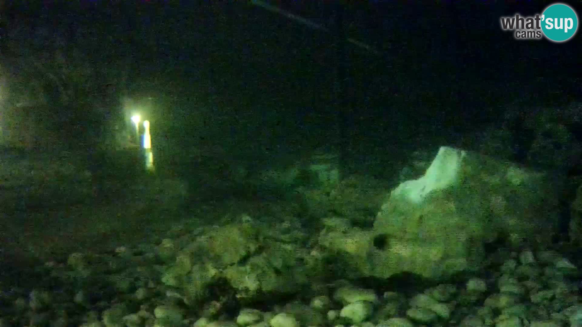 Aquario marino esterno –  Rogoznica livecam Croazia