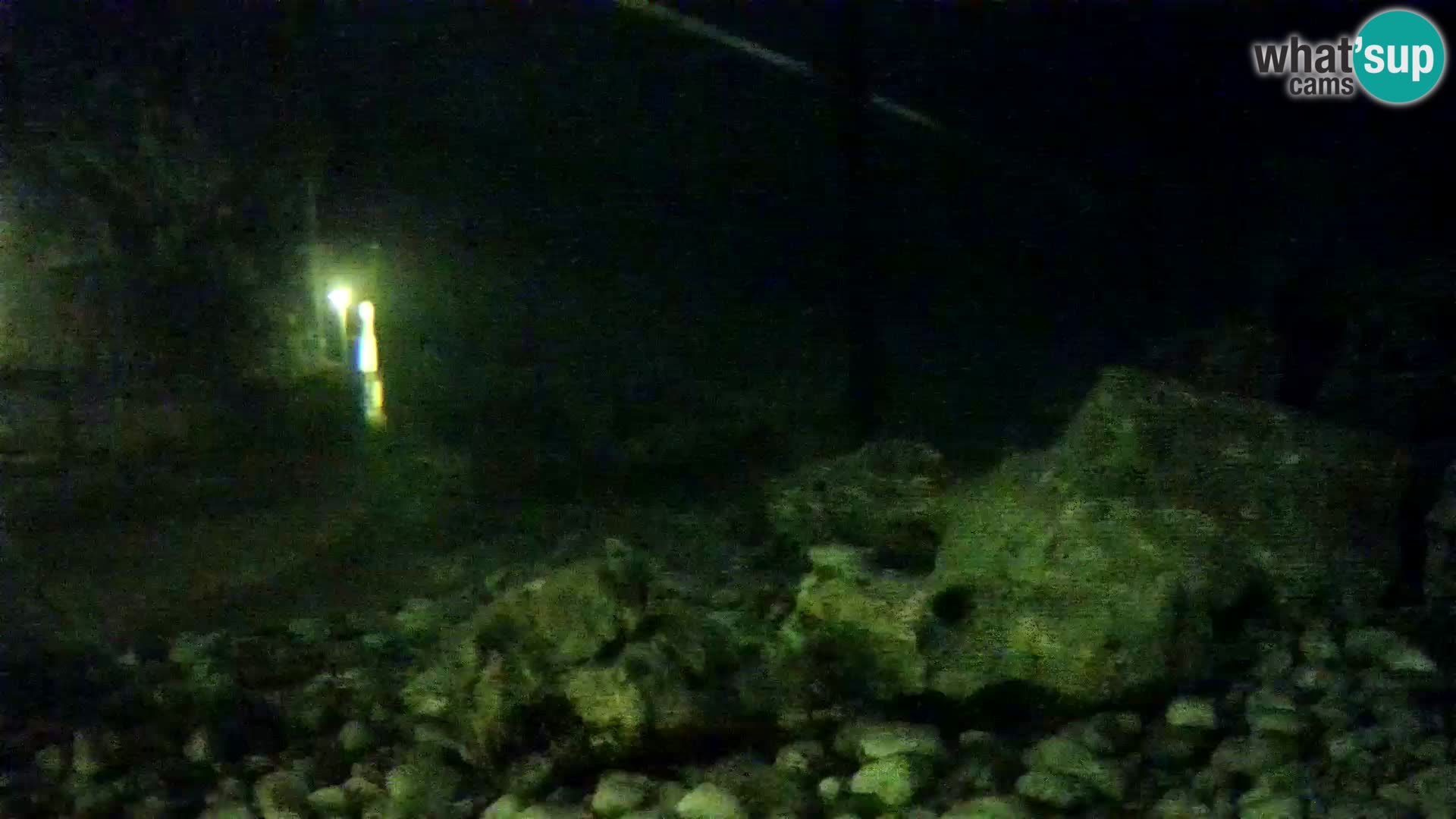 Zunanji morski akvarij Rogoznica spletna kamera Hrvaška