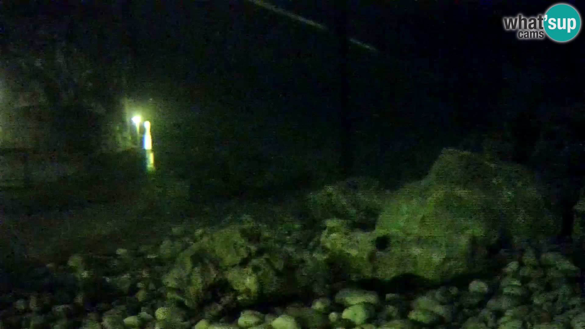 Outdoor Marine Aquarium Rogoznica webcam Croatia