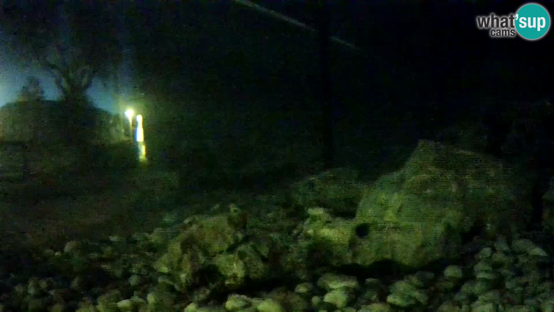 Aquario marino esterno –  Rogoznica livecam Croazia