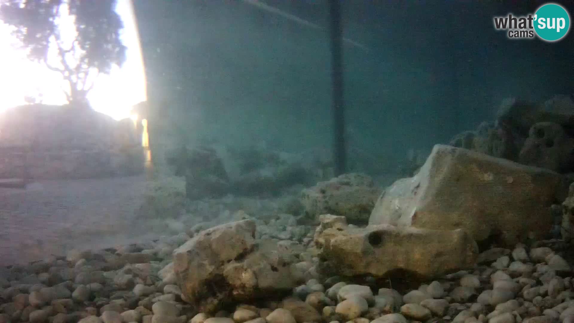 Webcam de l’aquarium marin extérieur de Rogoznica Croatie