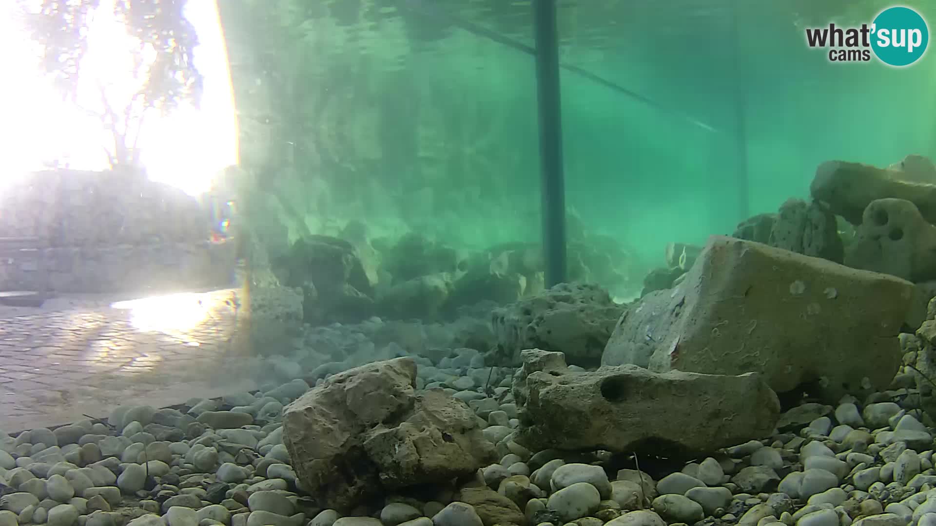 Outdoor Marine Aquarium Rogoznica webcam Croatia
