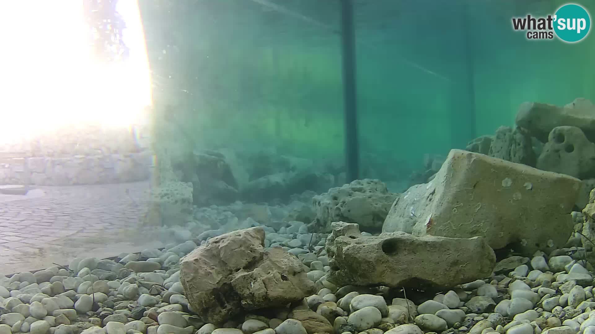 Outdoor Marine Aquarium Rogoznica webcam Croatia