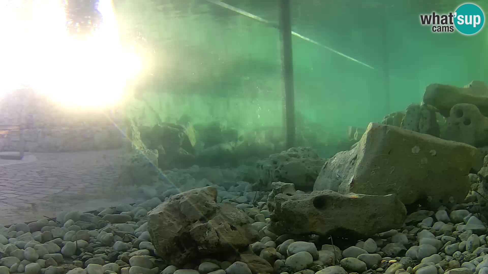 Marine Aquarium im Freien Rogoznica webcam Kroatien