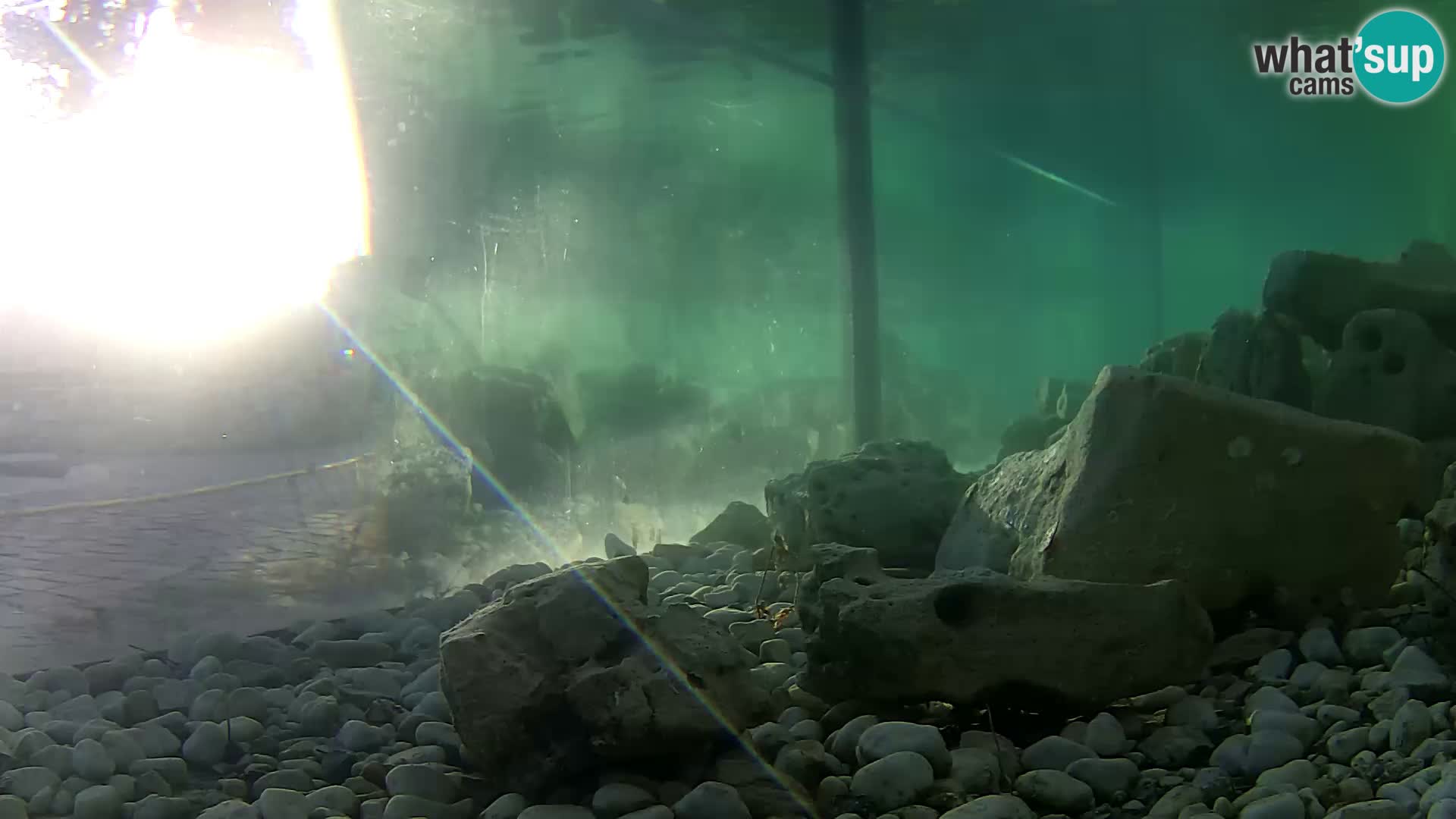 Webcam de l’aquarium marin extérieur de Rogoznica Croatie