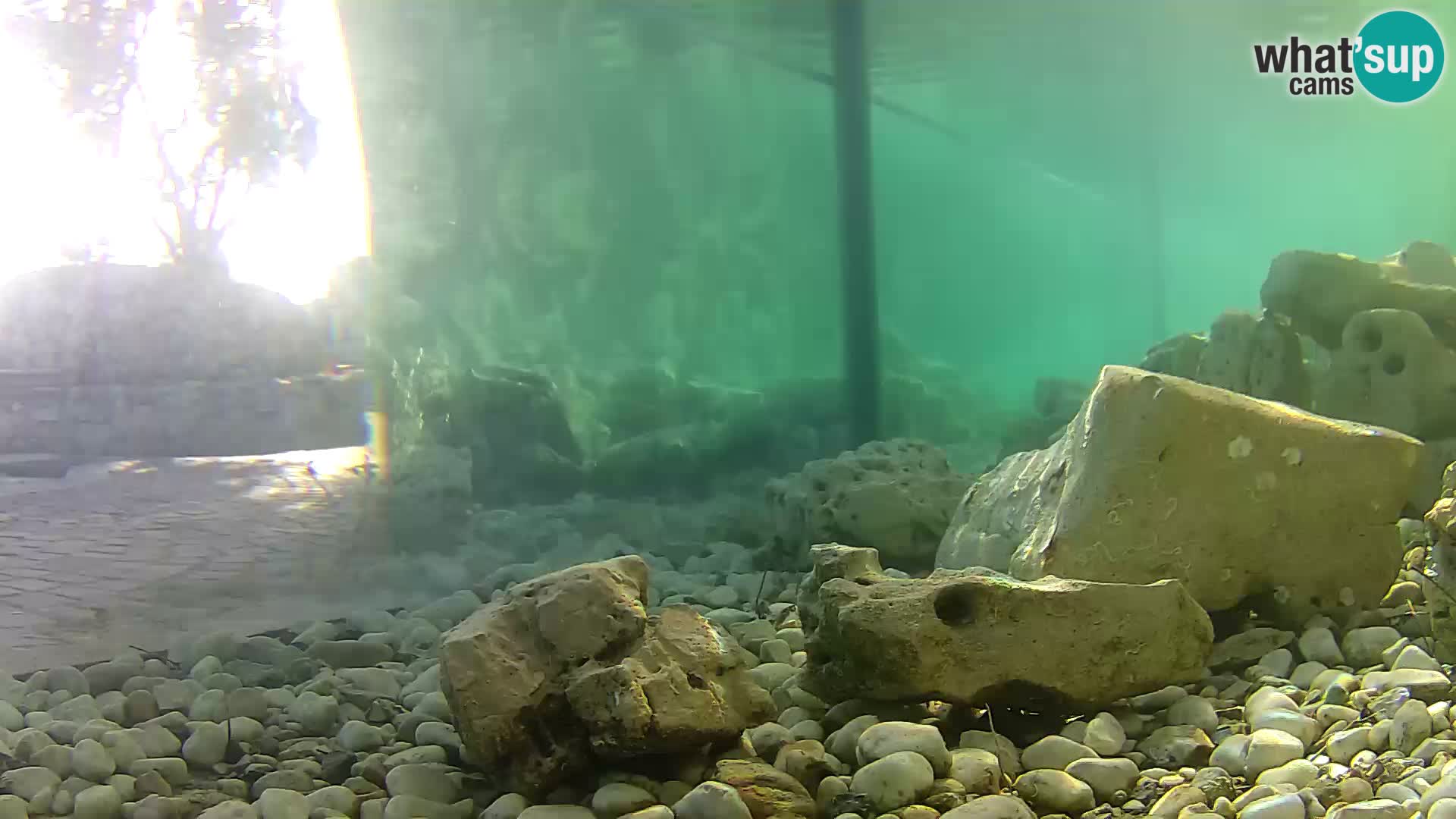 Outdoor Marine Aquarium Rogoznica webcam Croatia