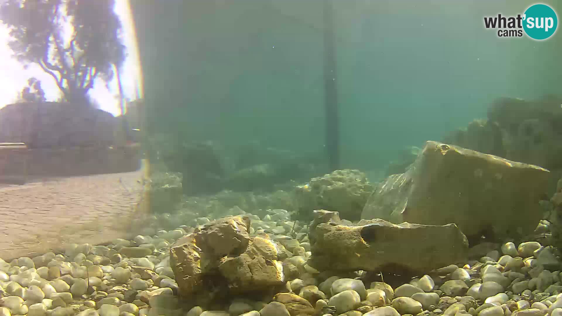 Outdoor Marine Aquarium Rogoznica webcam Croatia