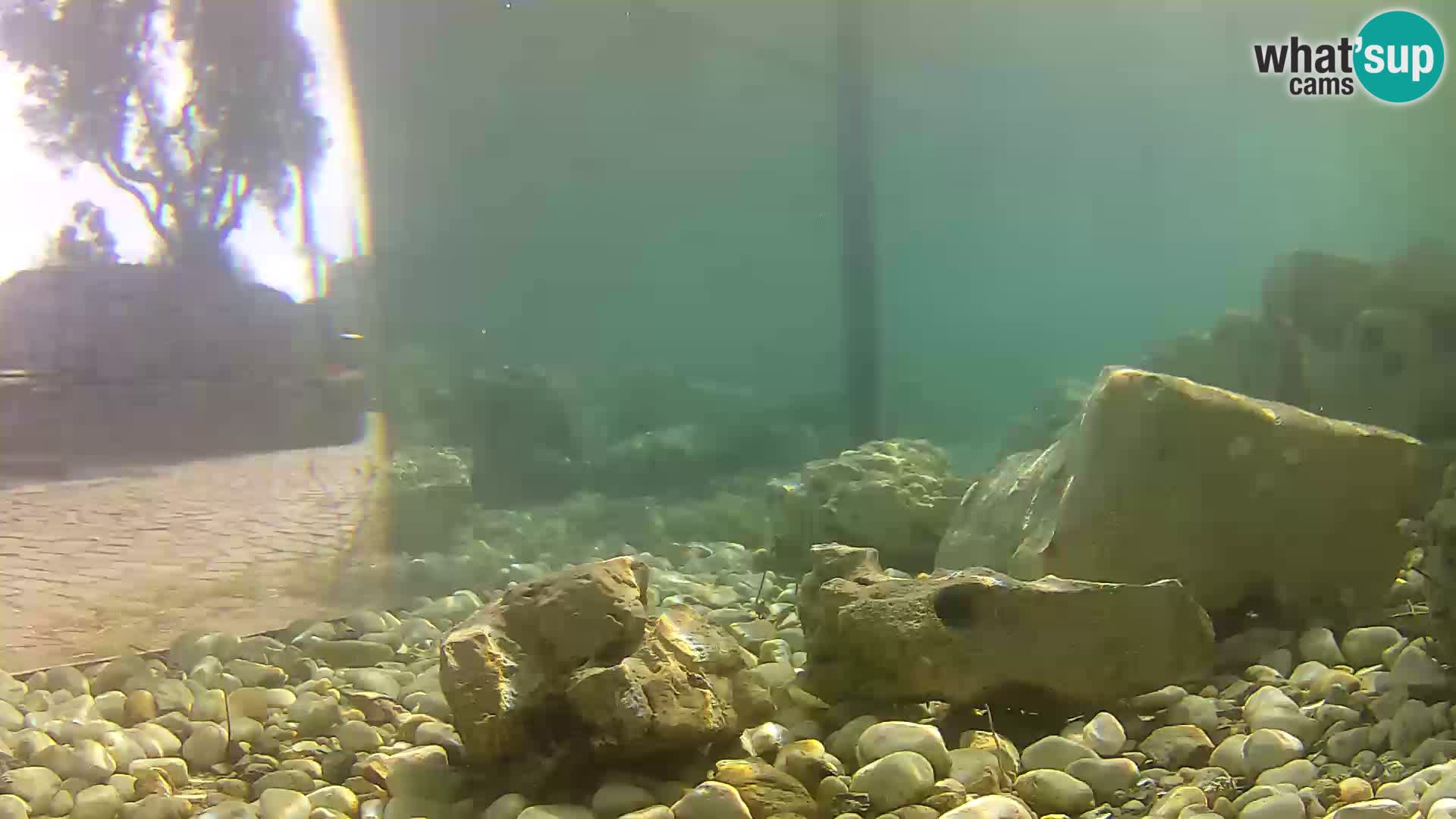Marine Aquarium im Freien Rogoznica webcam Kroatien