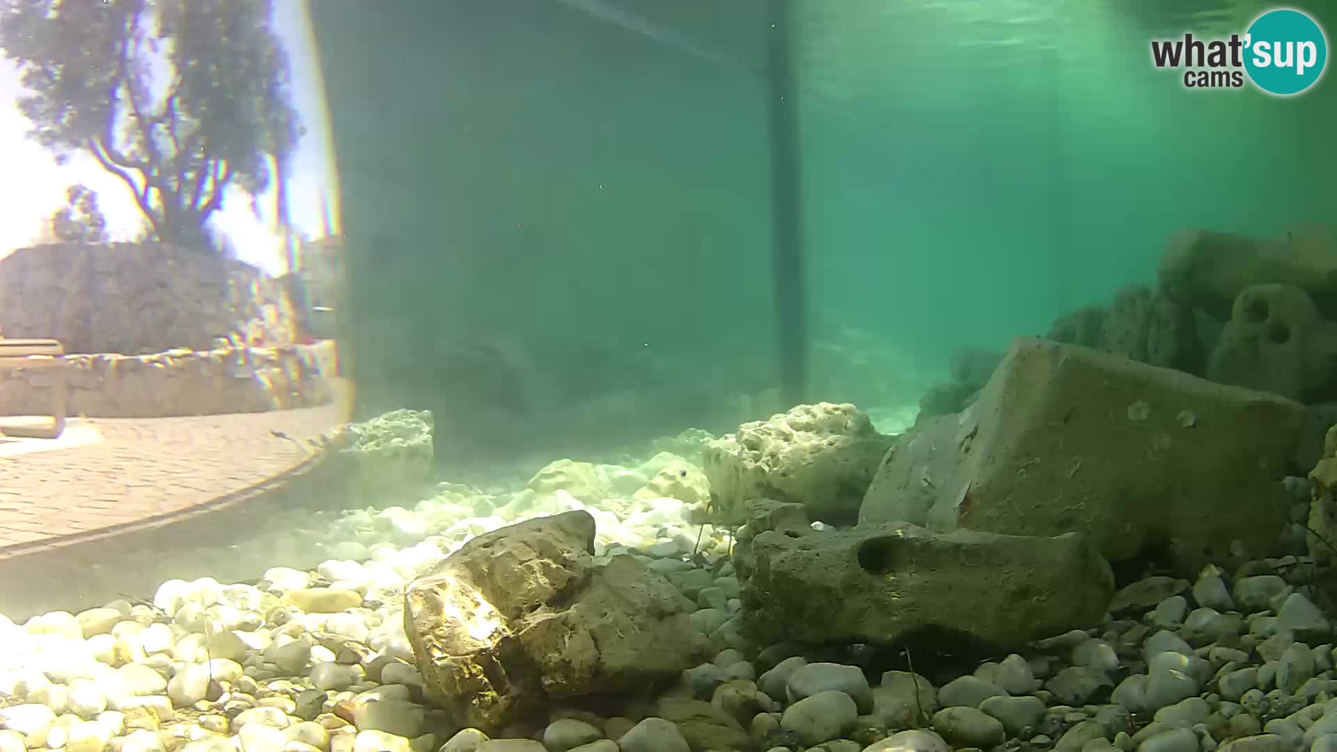Marine Aquarium im Freien Rogoznica webcam Kroatien