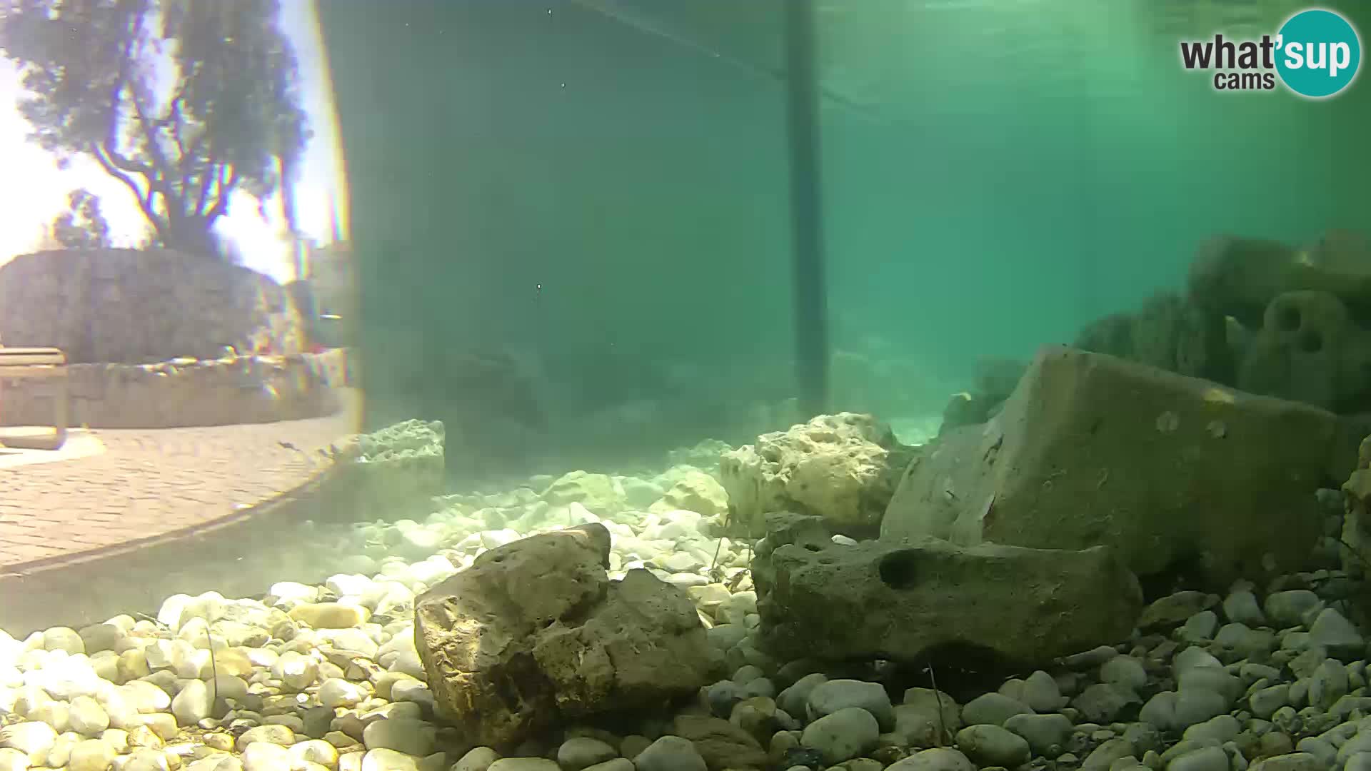 Marine Aquarium im Freien Rogoznica webcam Kroatien