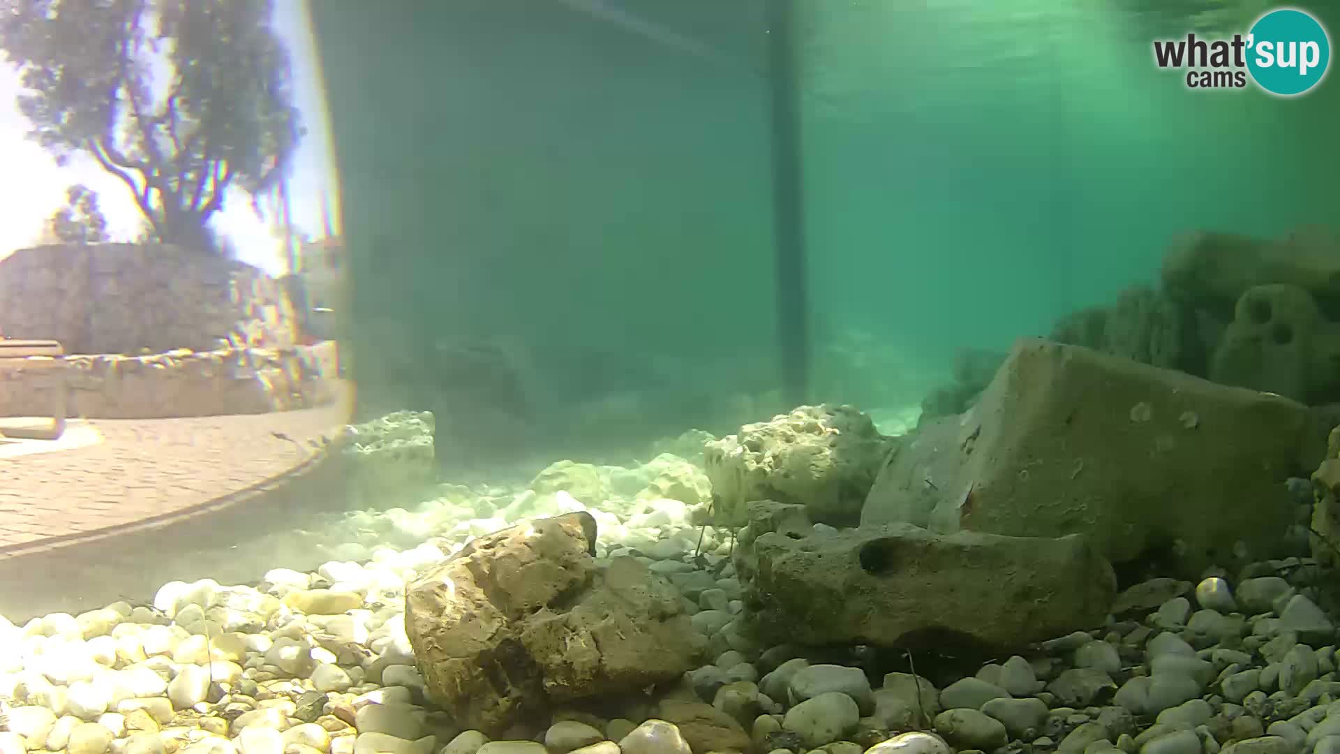 Marine Aquarium im Freien Rogoznica webcam Kroatien