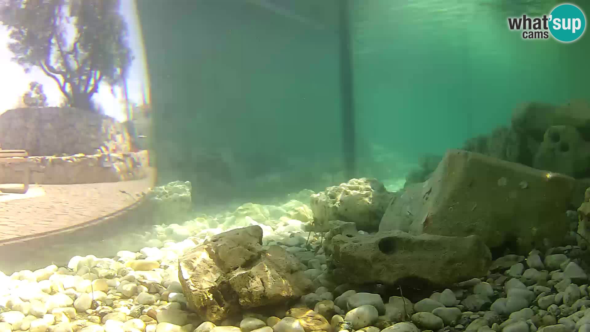 Outdoor Marine Aquarium Rogoznica webcam Croatia