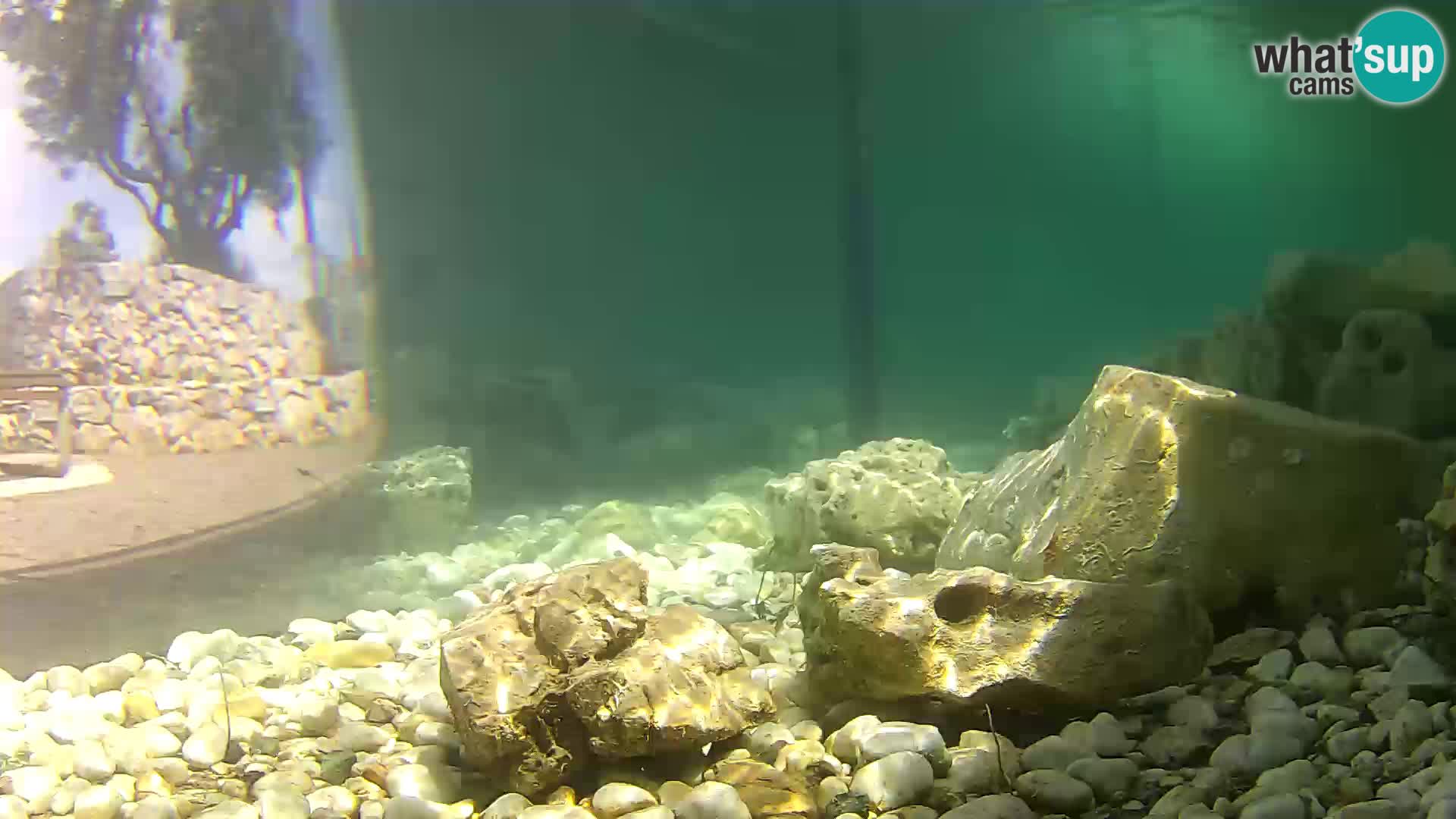 Webcam de l’aquarium marin extérieur de Rogoznica Croatie