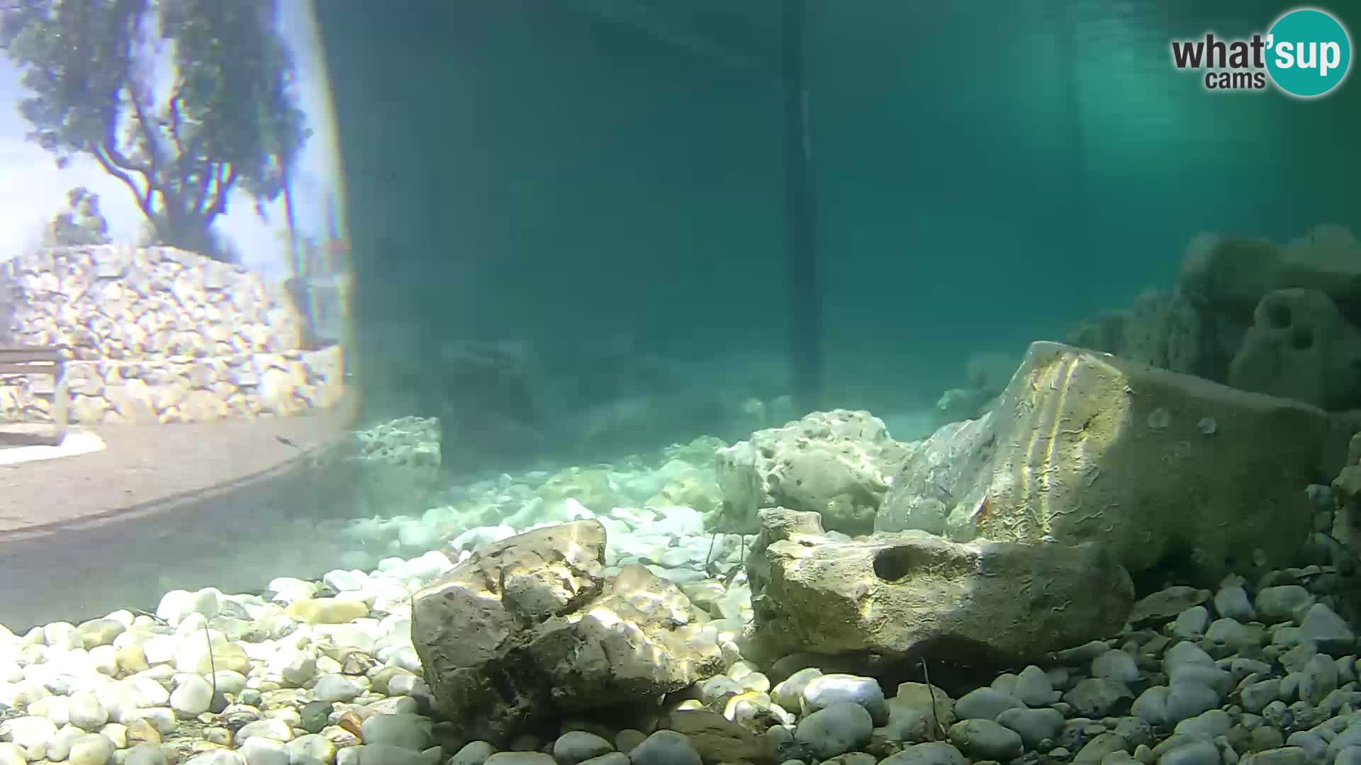 Marine Aquarium im Freien Rogoznica webcam Kroatien