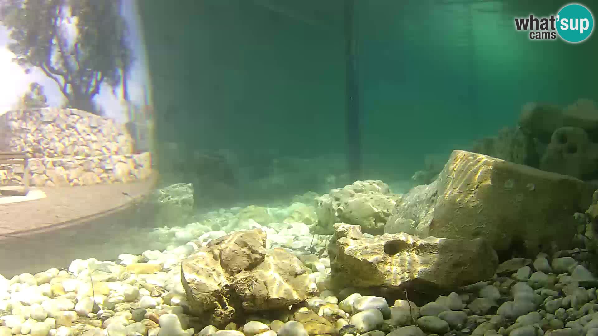Webcam de l’aquarium marin extérieur de Rogoznica Croatie