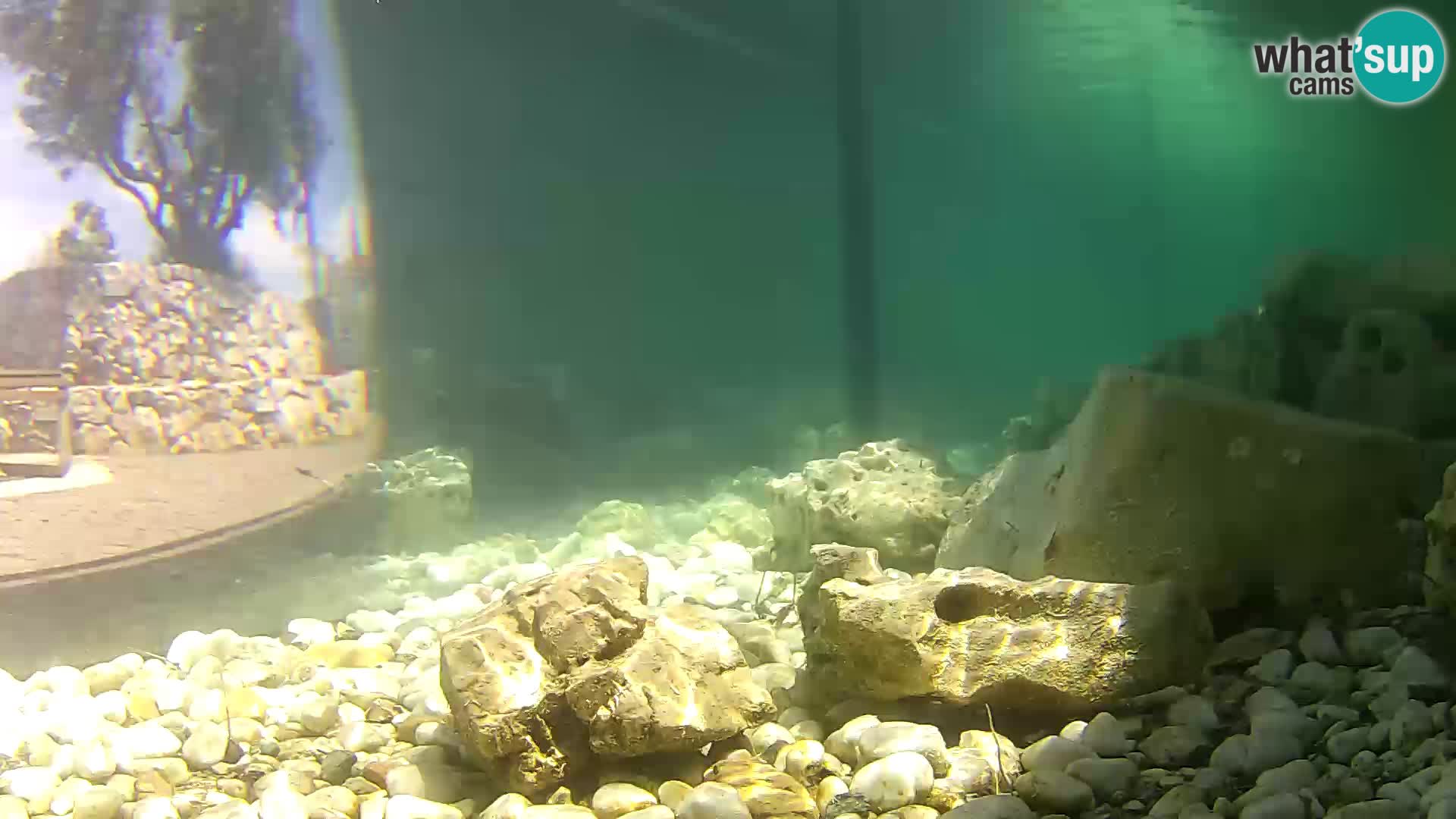 Outdoor Marine Aquarium Rogoznica webcam Croatia