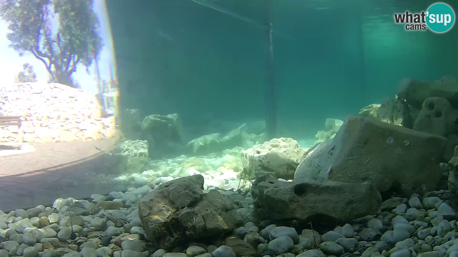 Marine Aquarium im Freien Rogoznica webcam Kroatien