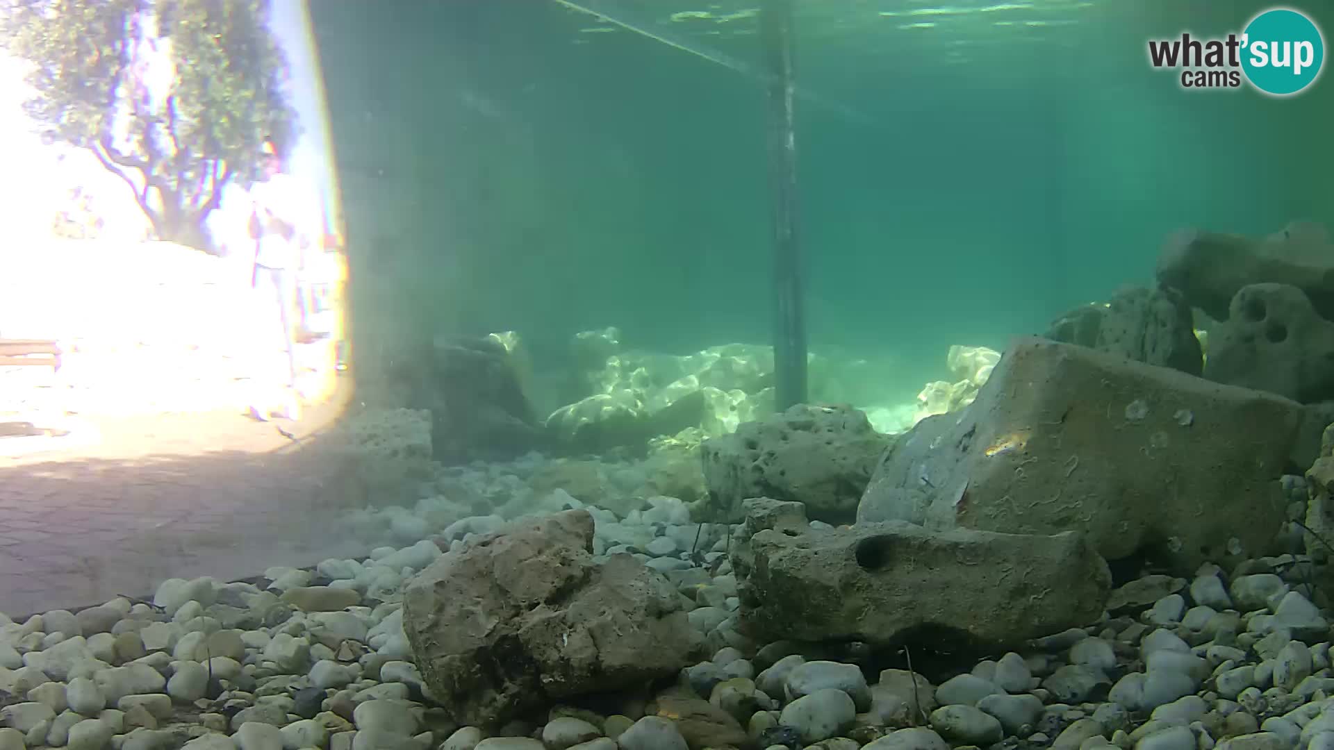 Outdoor Marine Aquarium Rogoznica webcam Croatia