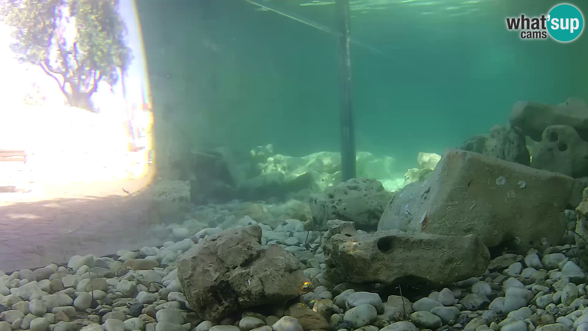 Marine Aquarium im Freien Rogoznica webcam Kroatien
