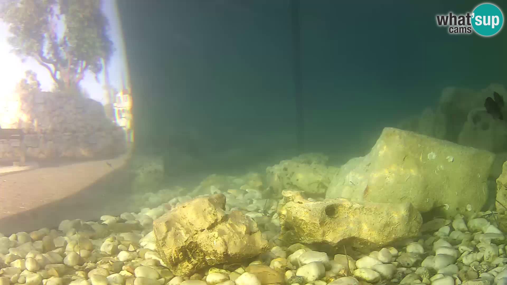 Aquario marino esterno –  Rogoznica livecam Croazia