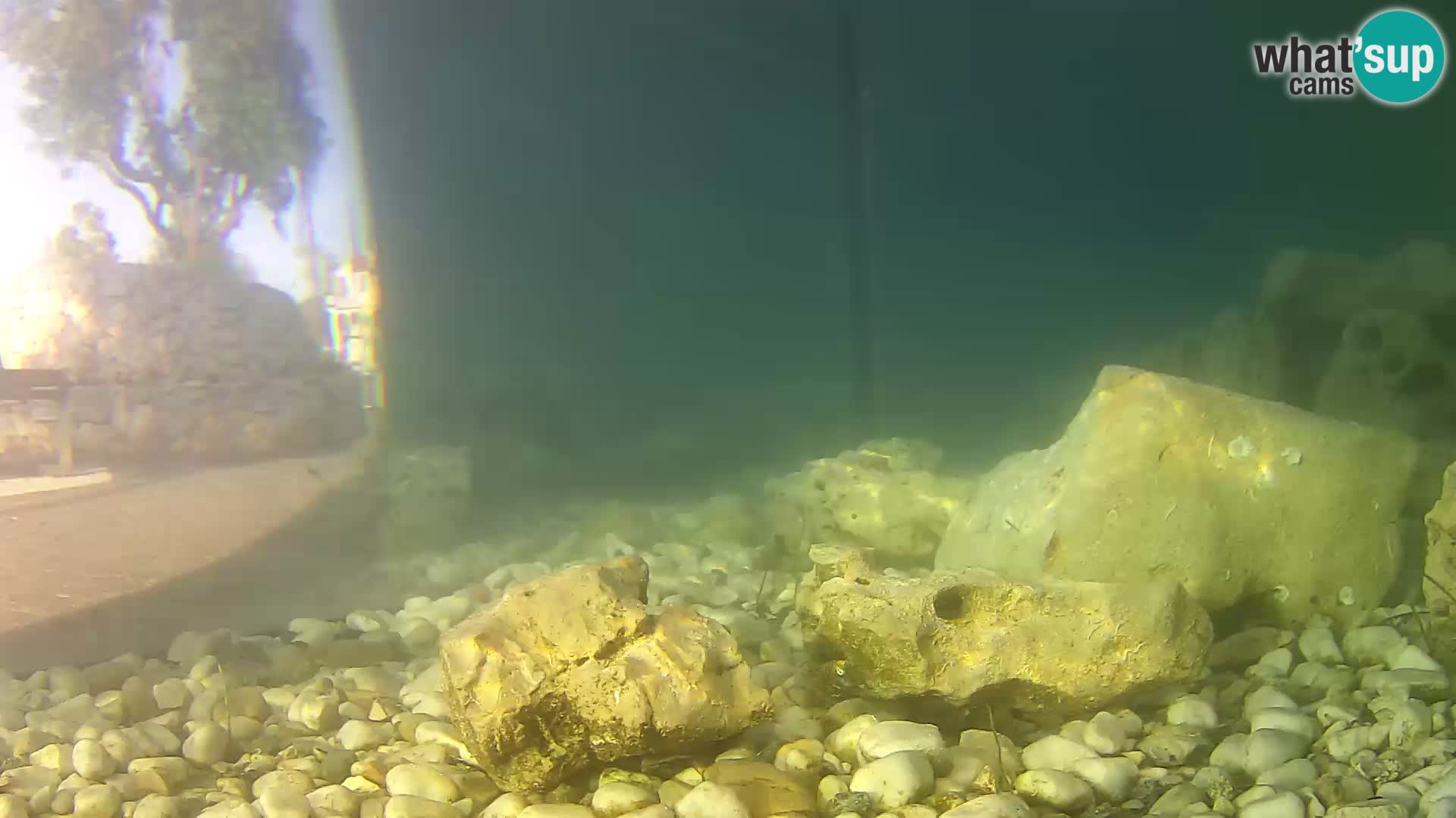 Zunanji morski akvarij Rogoznica spletna kamera Hrvaška