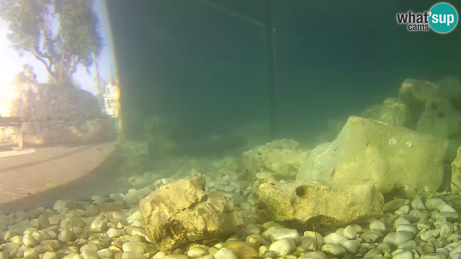 Webcam de l’aquarium marin extérieur de Rogoznica Croatie