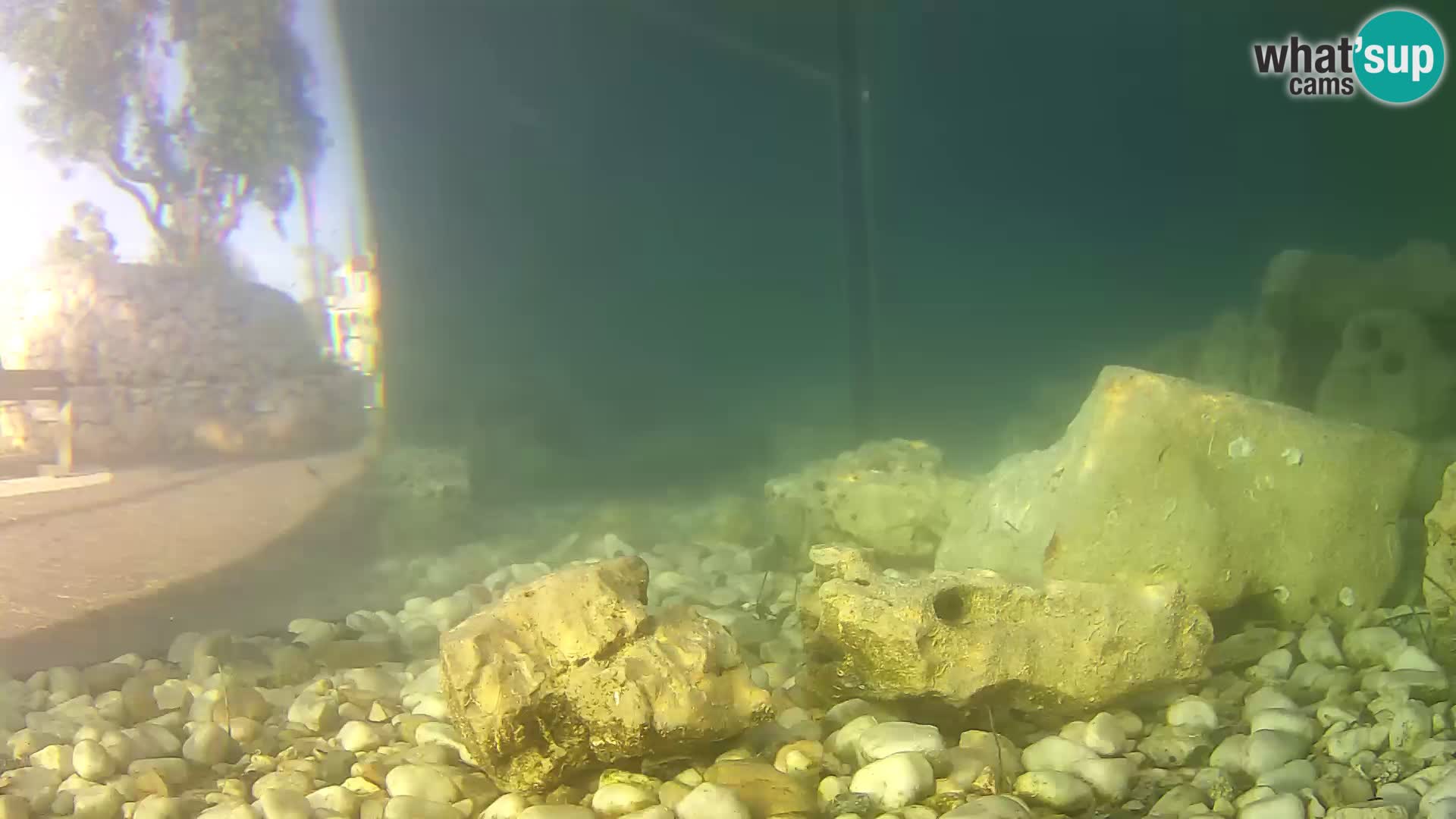 Webcam de l’aquarium marin extérieur de Rogoznica Croatie