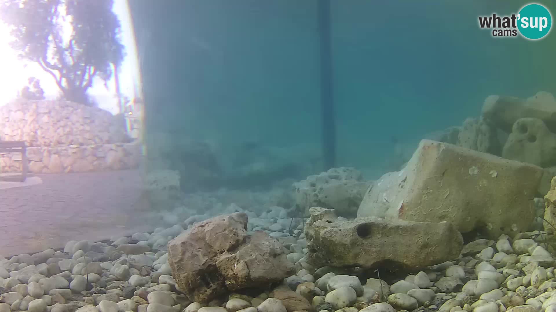 Outdoor Marine Aquarium Rogoznica webcam Croatia