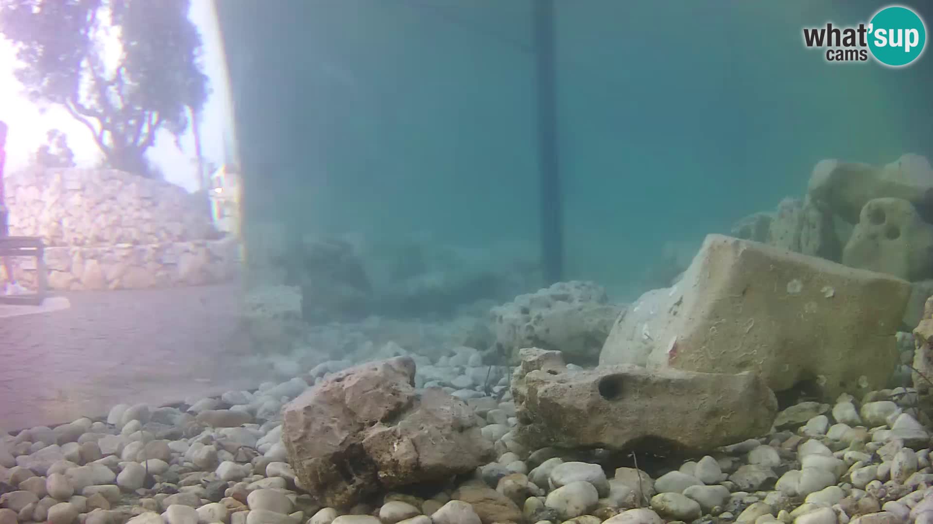 Webcam de l’aquarium marin extérieur de Rogoznica Croatie