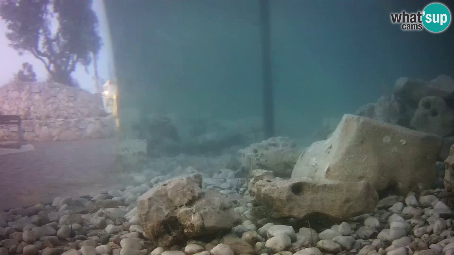 Outdoor Marine Aquarium Rogoznica webcam Croatia