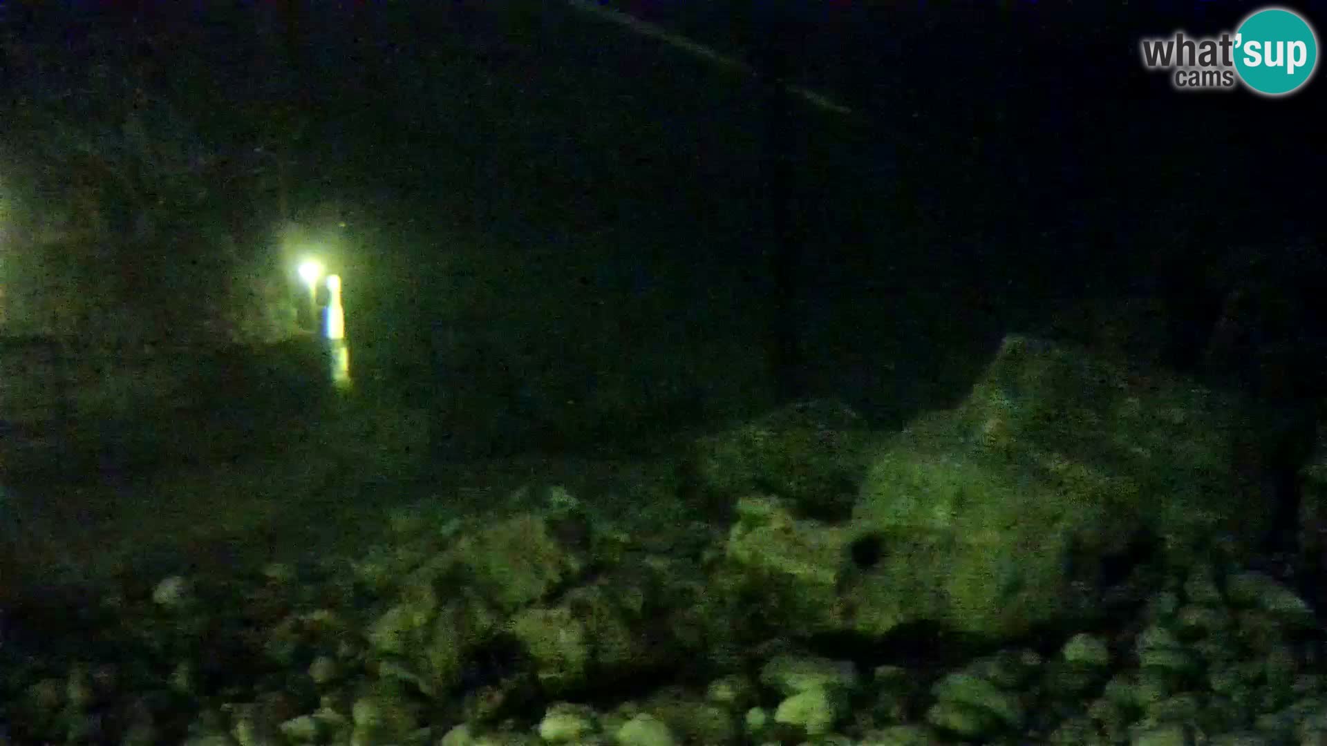 Aquario marino esterno –  Rogoznica livecam Croazia
