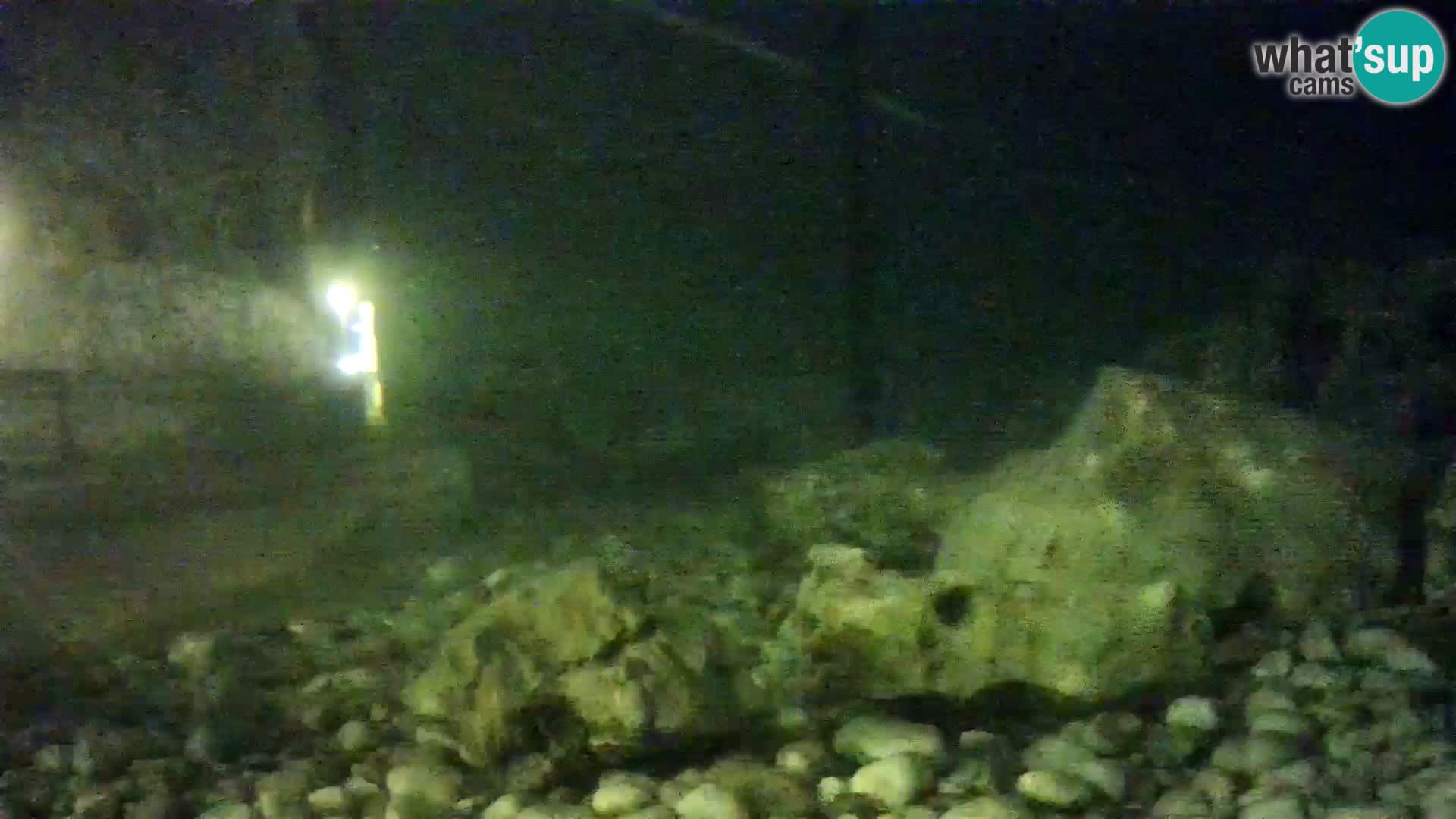 Outdoor Marine Aquarium Rogoznica webcam Croatia