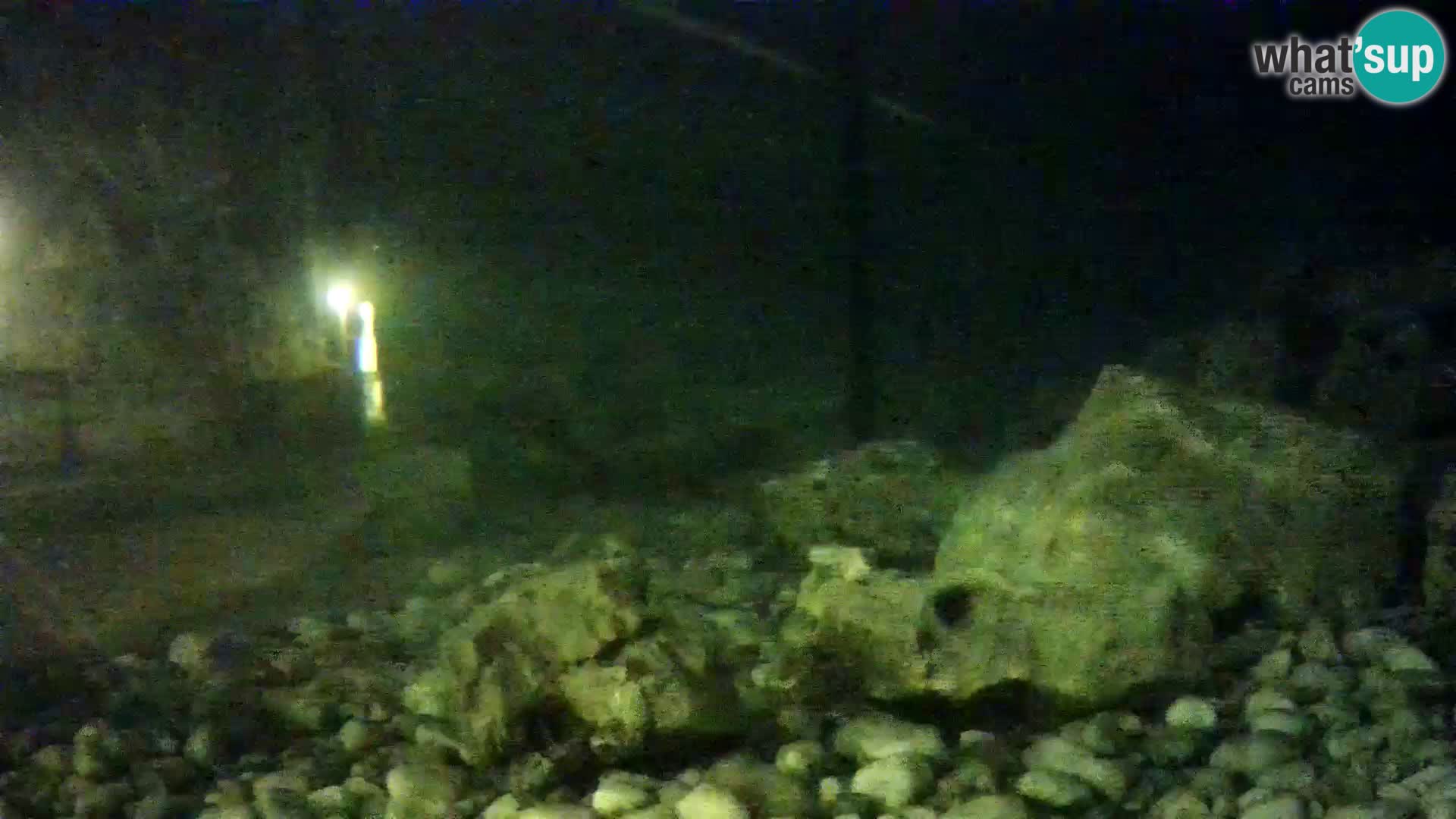 Outdoor Marine Aquarium Rogoznica webcam Croatia