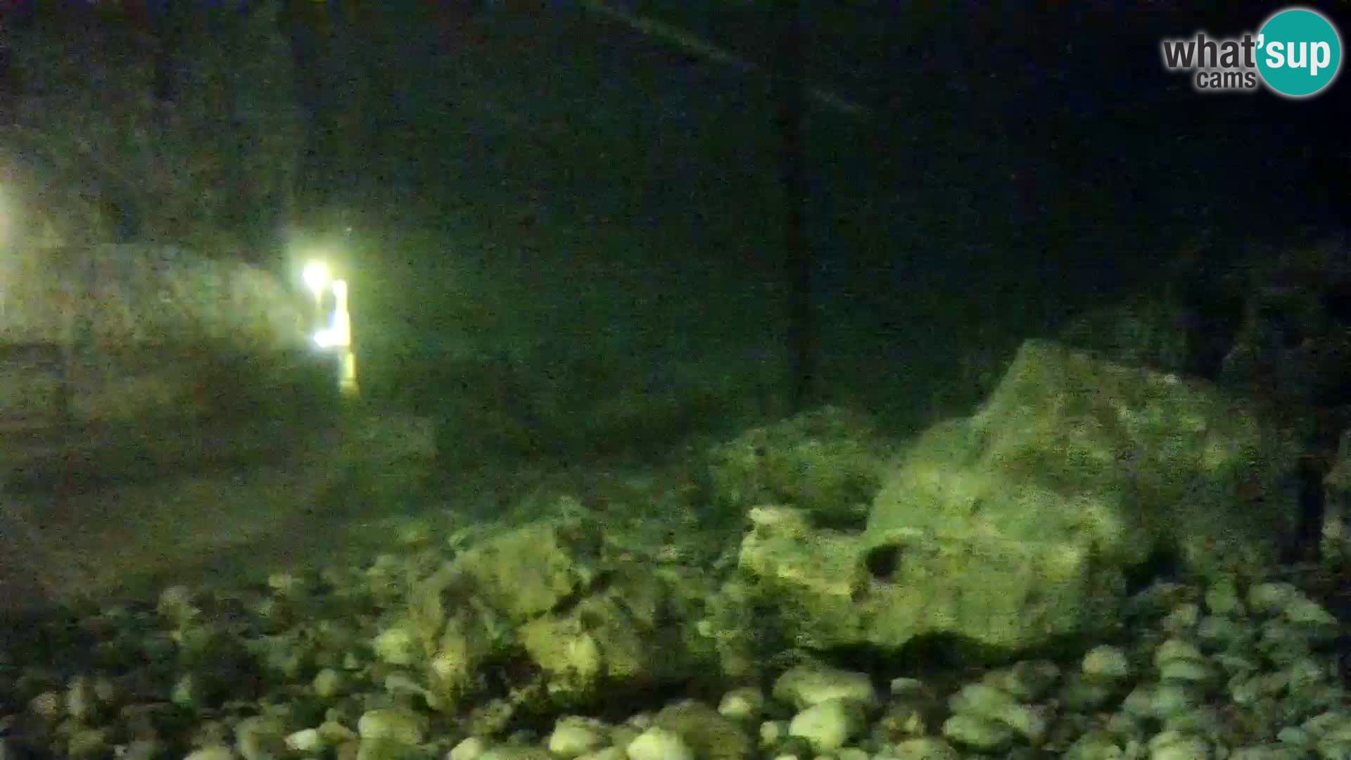 Webcam de l’aquarium marin extérieur de Rogoznica Croatie