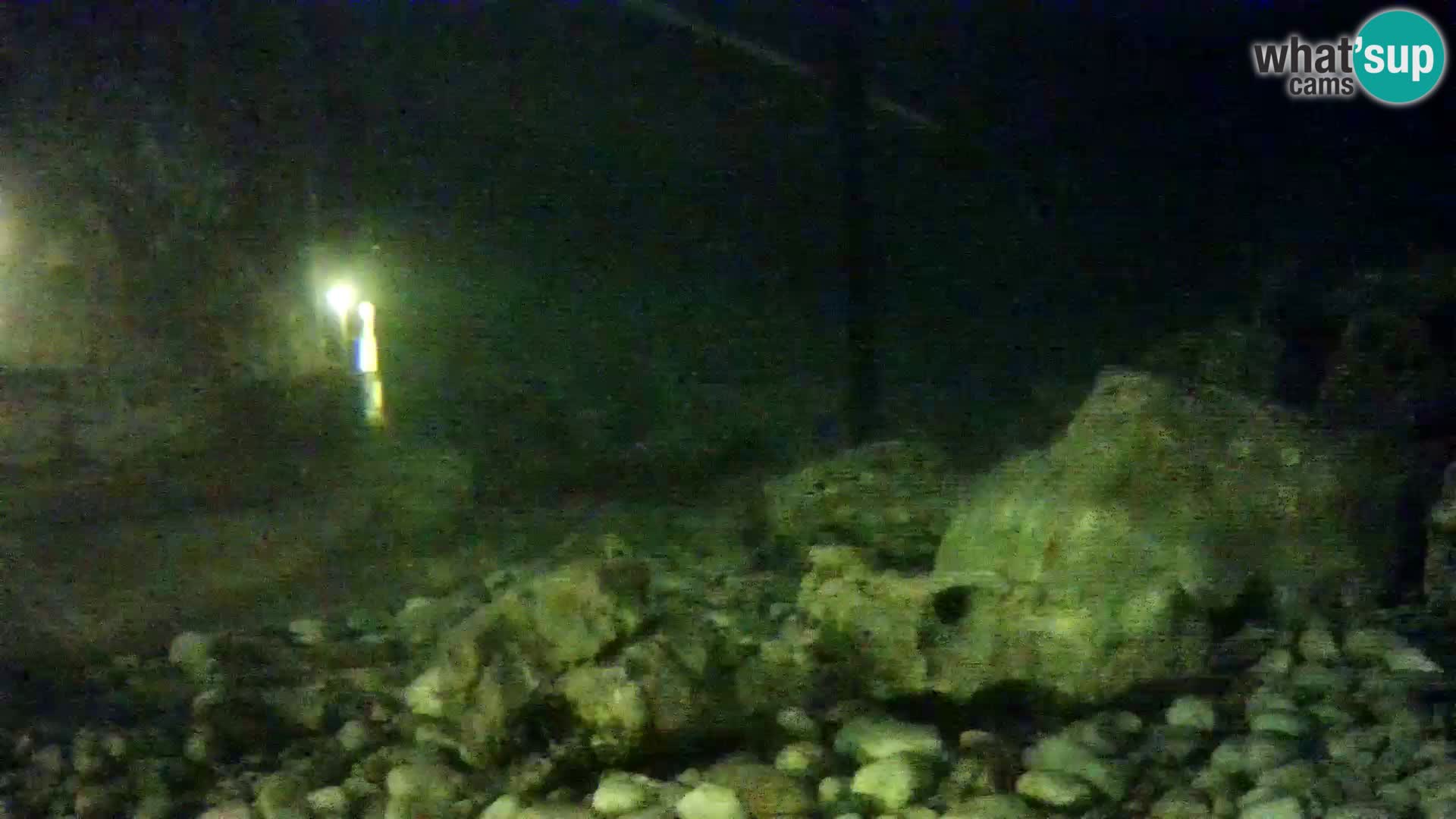 Acuario marino al aire libre Rogoznica webcam Croacia